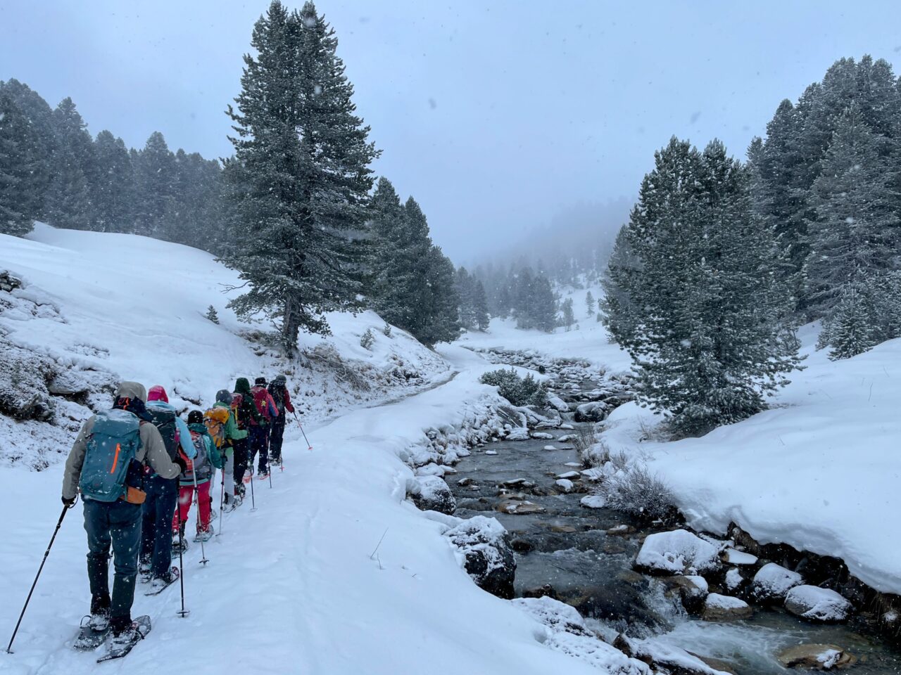 schneeschuhtour_via_silenzi_tag_1_s_charl_lü_