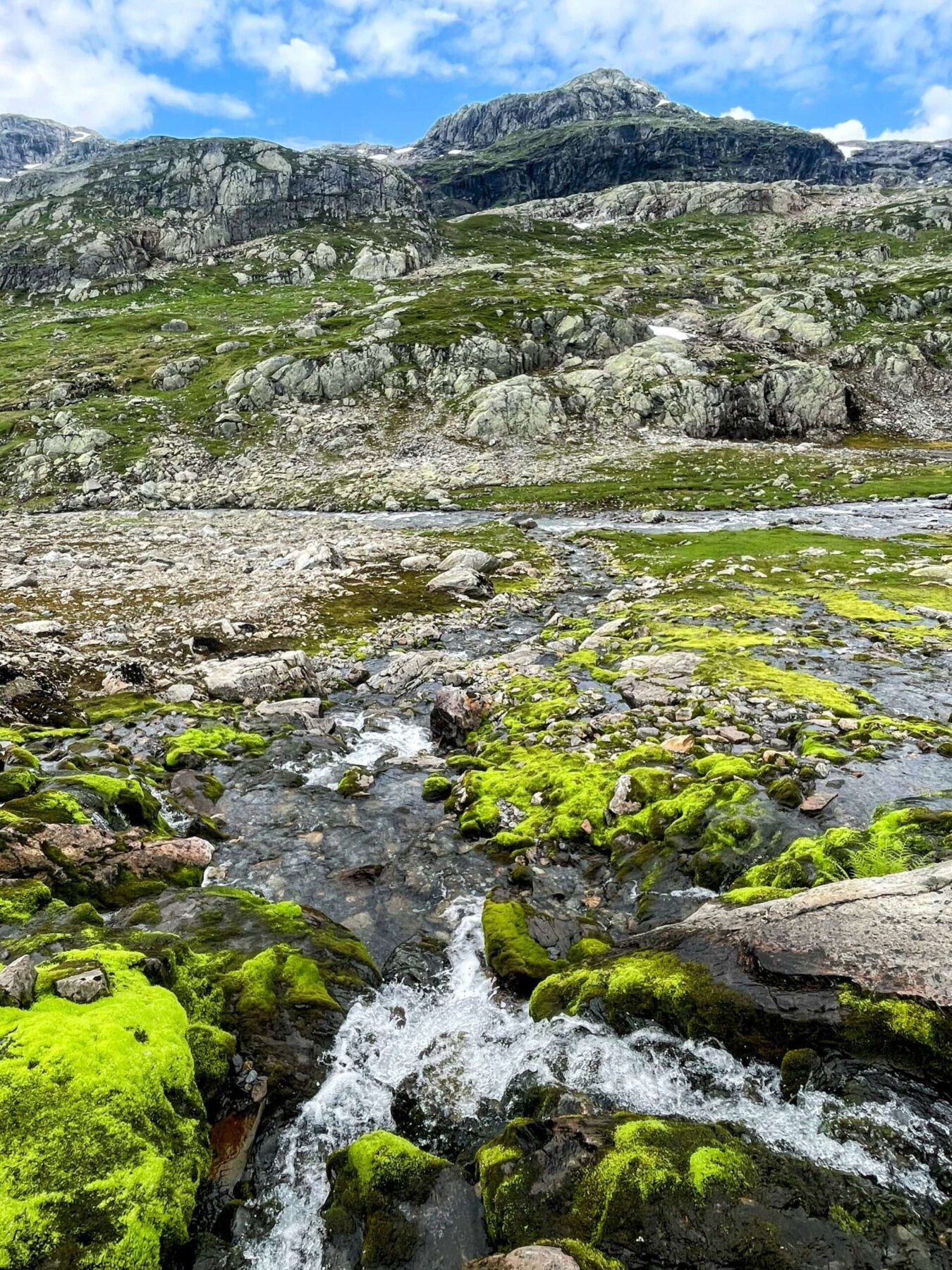 wanderung_hardangervidda_litlos_