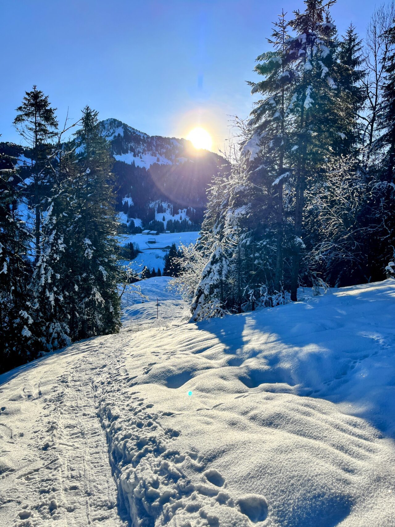 schneeschuhwanderung_oberiberg_furggelenstock__IMG_2764