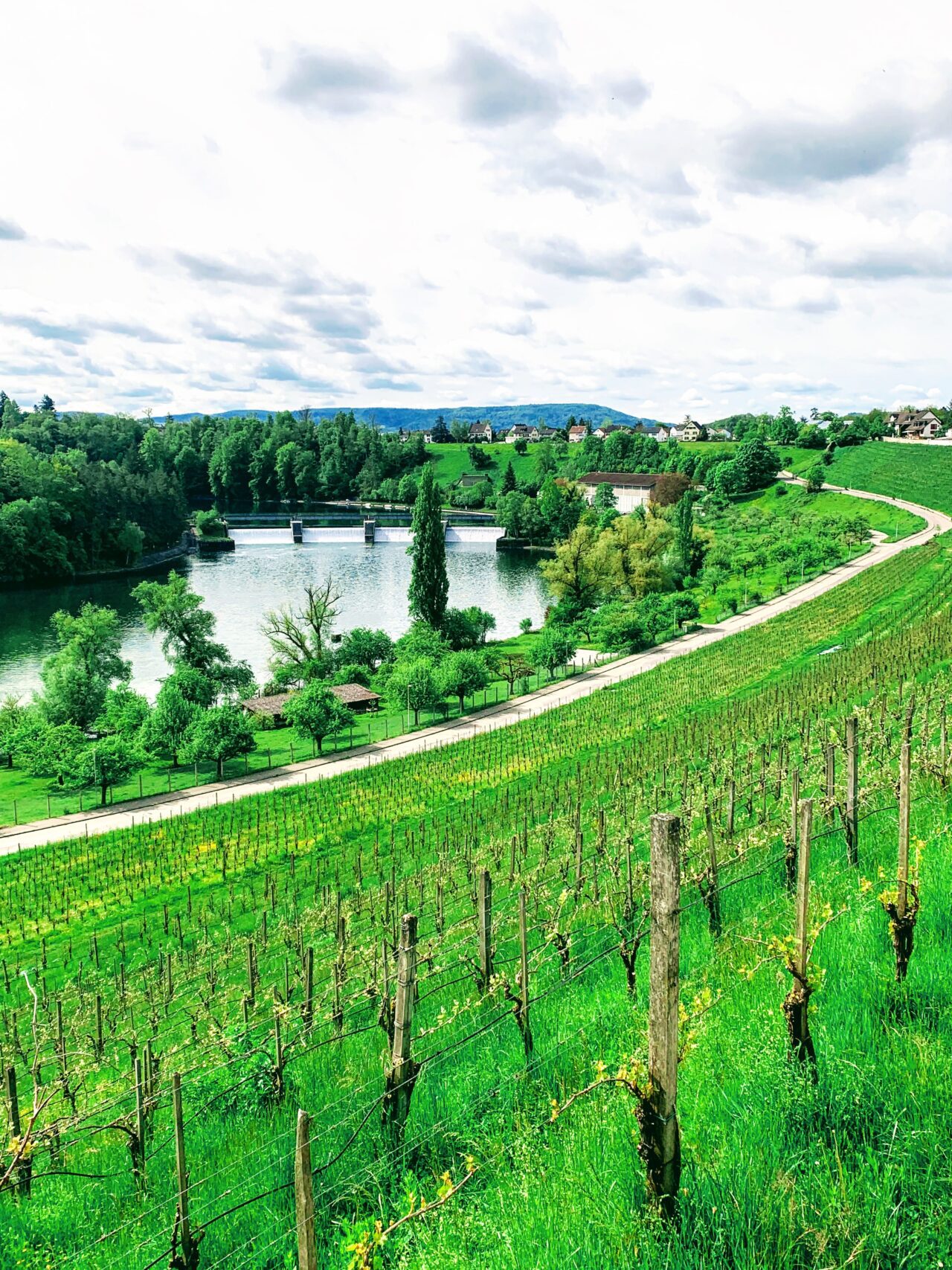 velotour_rheinroute_schaffhausen_eglisau__IMG_8581