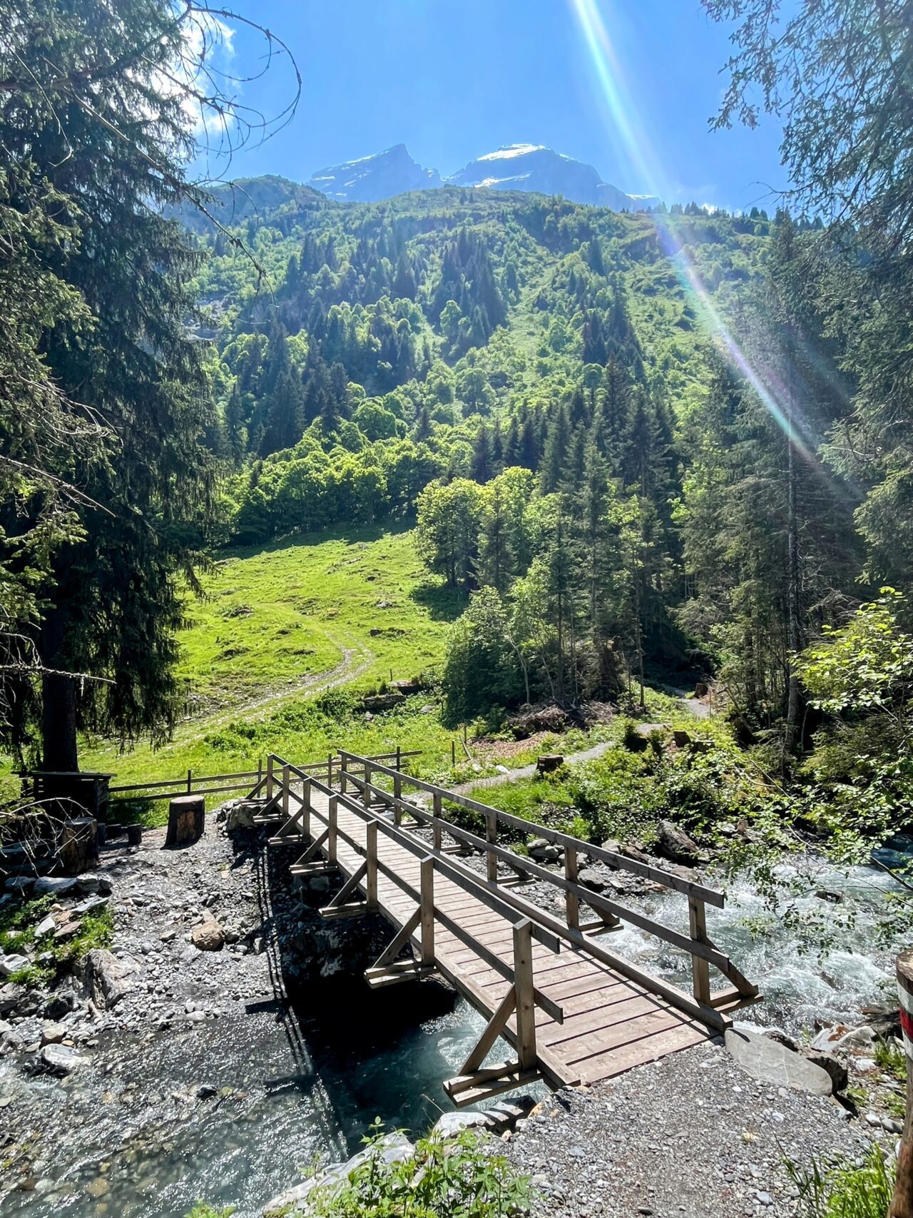 wanderung_via_alpina_meiringen_grindelwald_