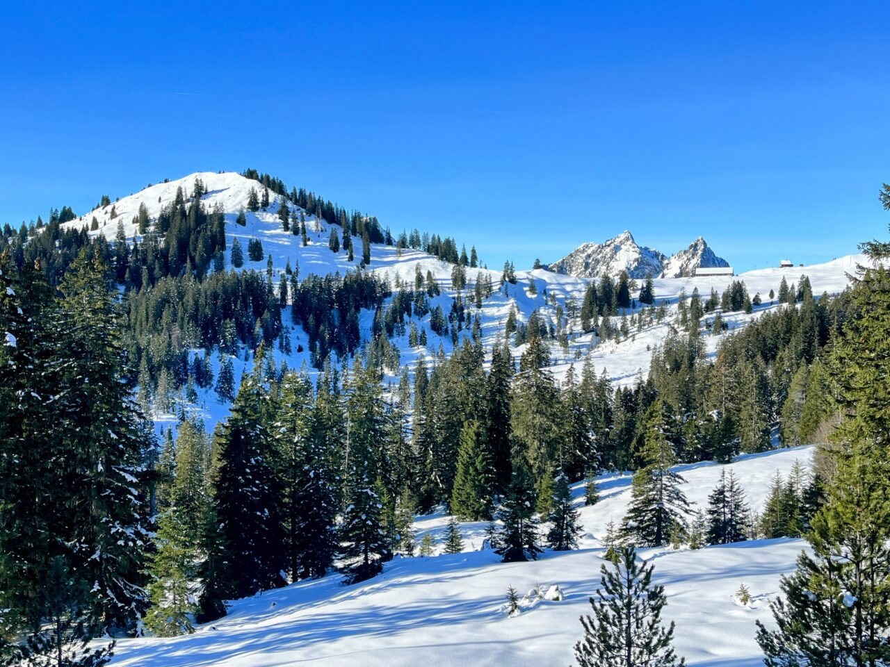 schneeschuhwanderung_oberiberg_furggelenstock__IMG_2774