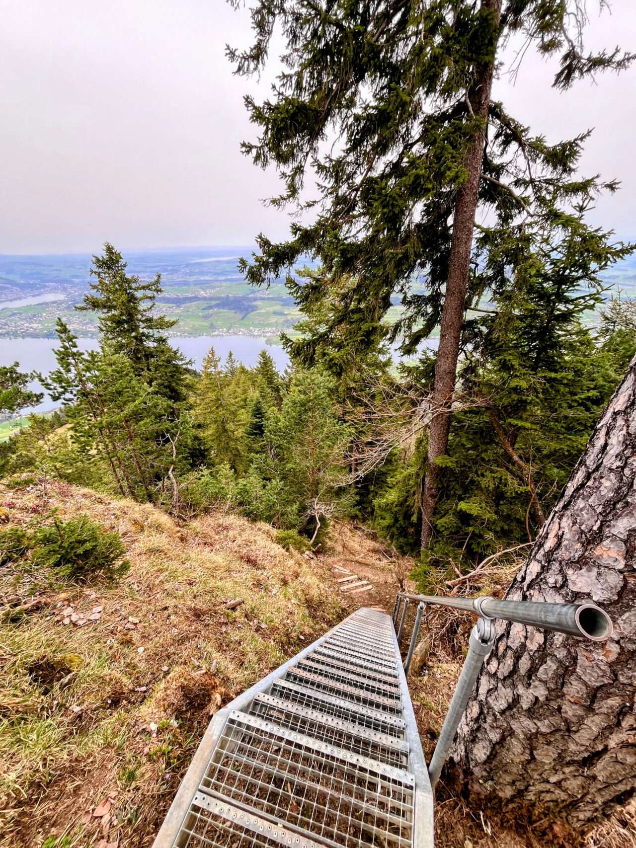 wanderung_weggis_rigi_
