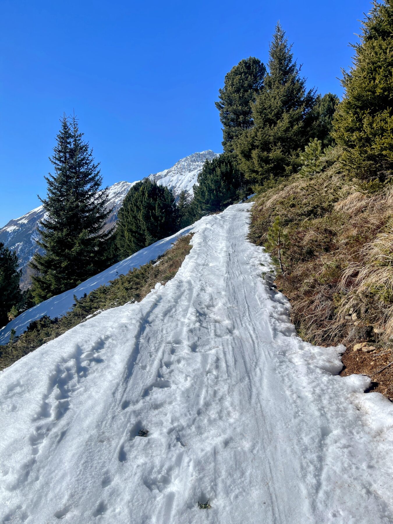 schneeschuhwanderung_berguen_keschhuette_