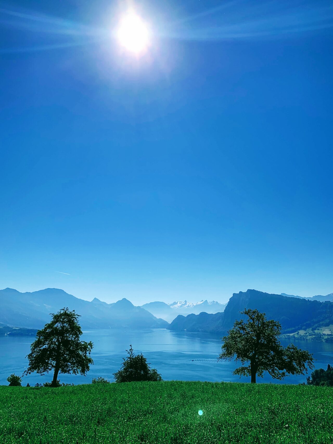 wanderung_vierwaldstaettersee_luzern_alpnachstad_