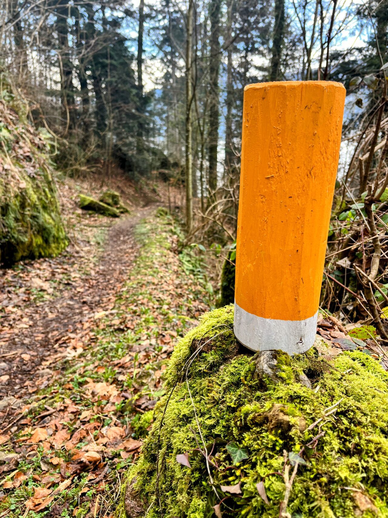 wanderung_gnipen_wildspitz_