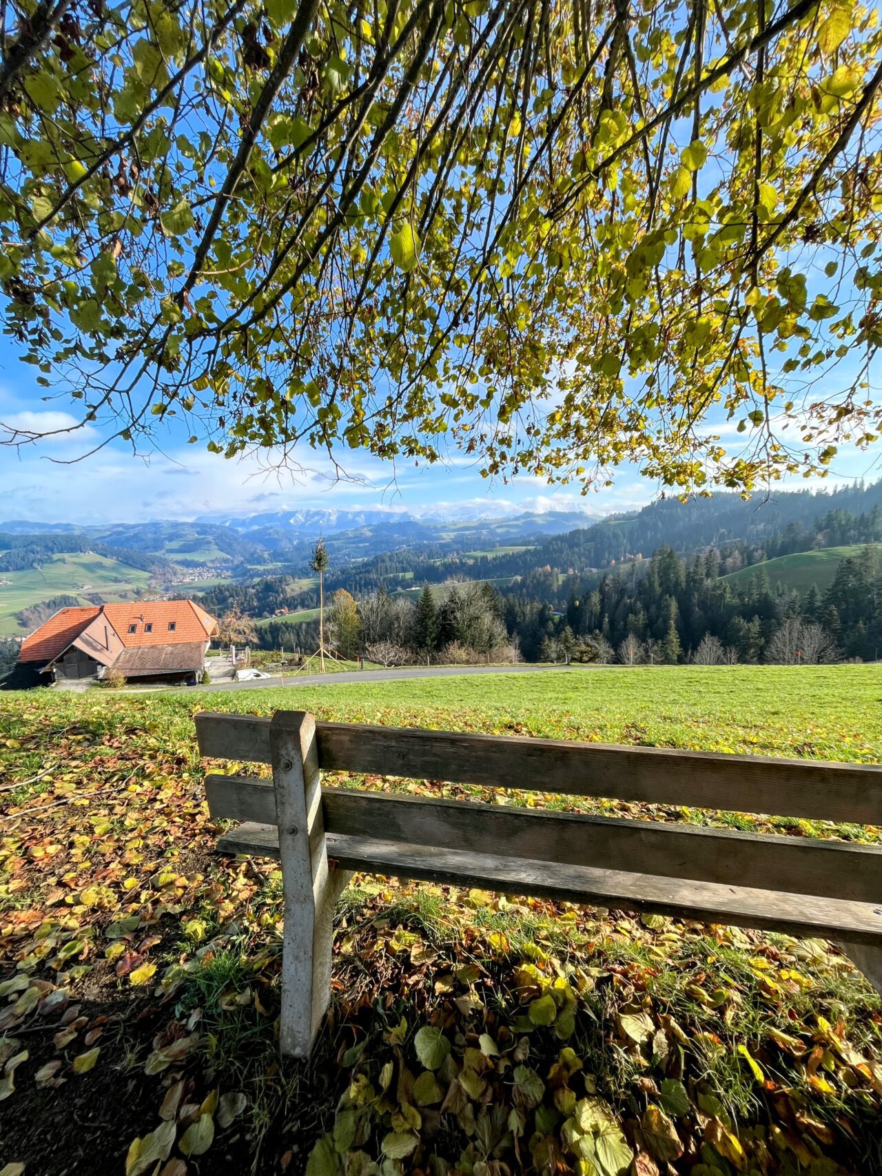 trans-swiss-trail-etappe-12-und-13-luetzelfluh-langnau-eggiswil-