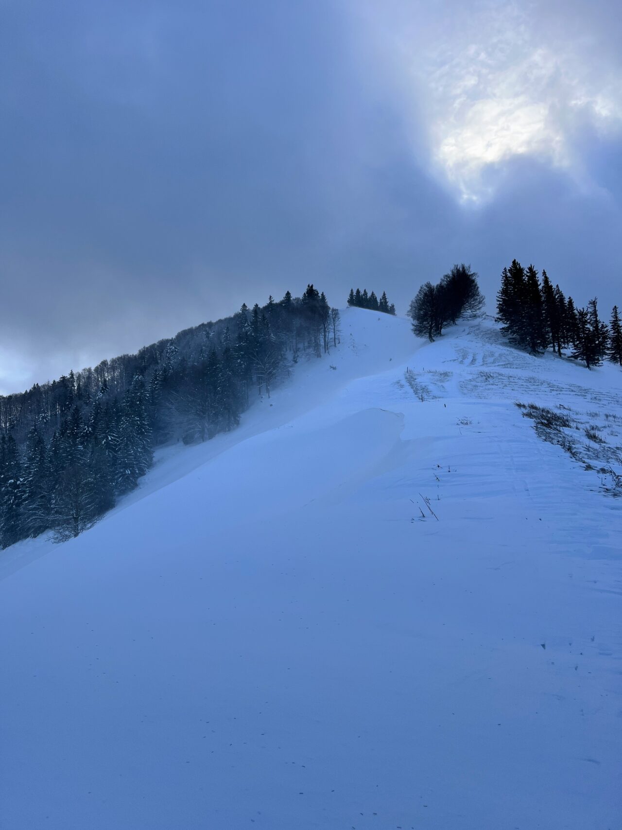 schneeschuhwanderung_schnebelhorn__IMG_2460