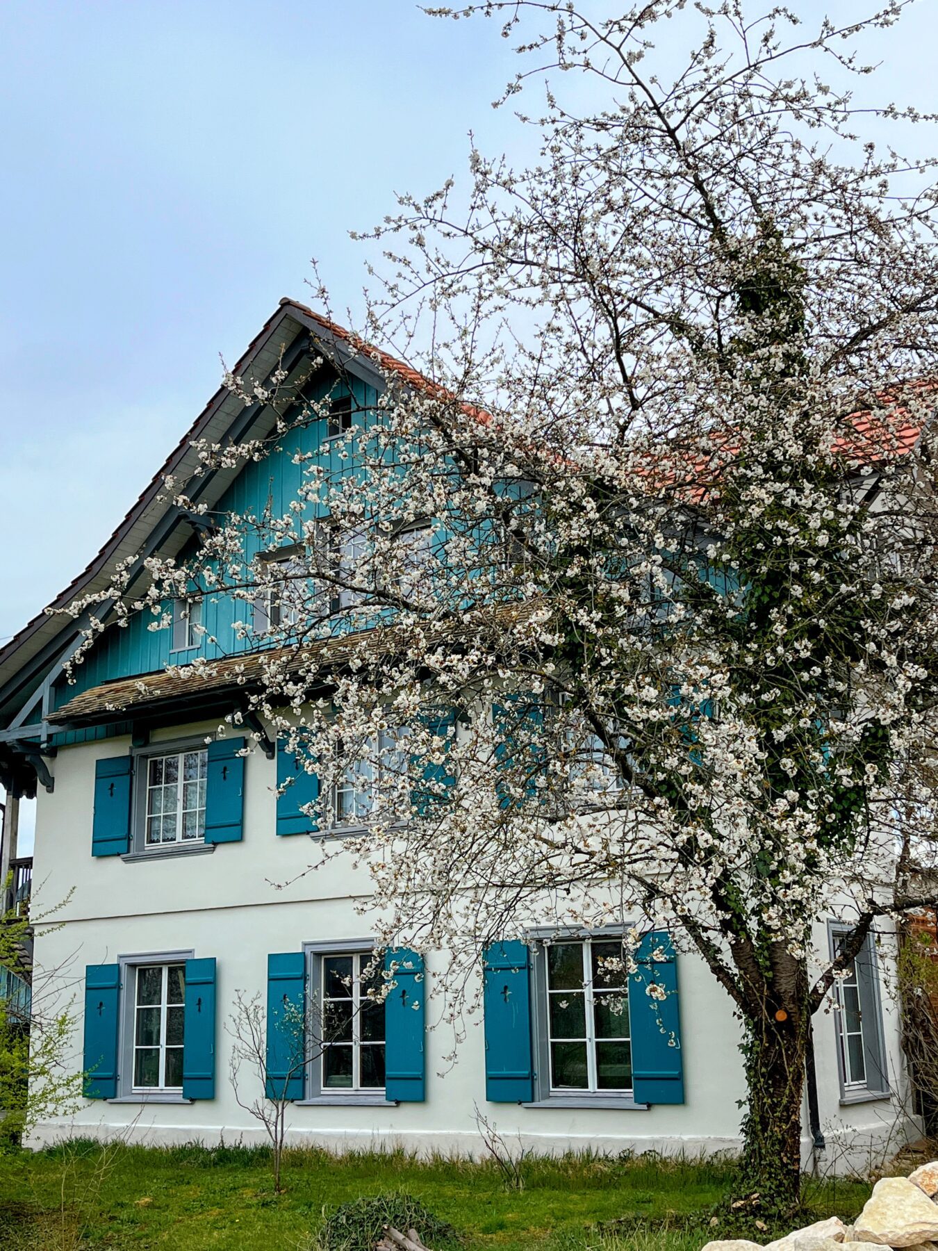 wanderung_rheinau_rheinfall_schaffhausen_