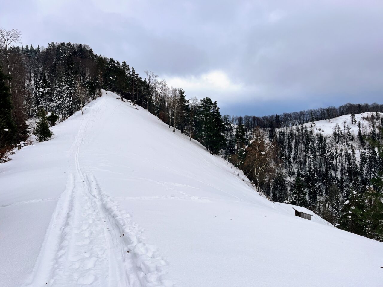 schneeschuhwanderung_schnebelhorn__IMG_2444
