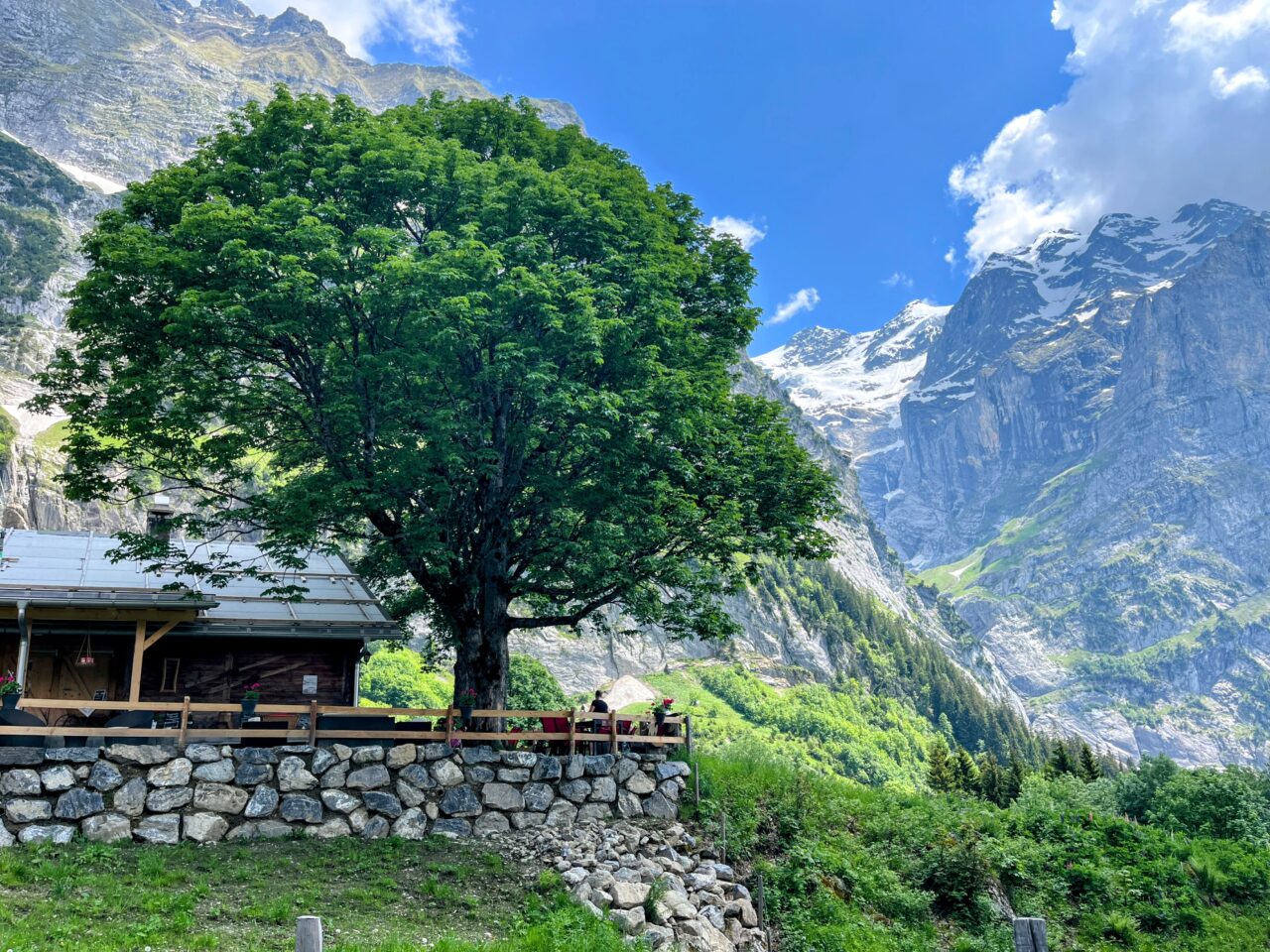 wanderung_via_alpina_meiringen_grindelwald_