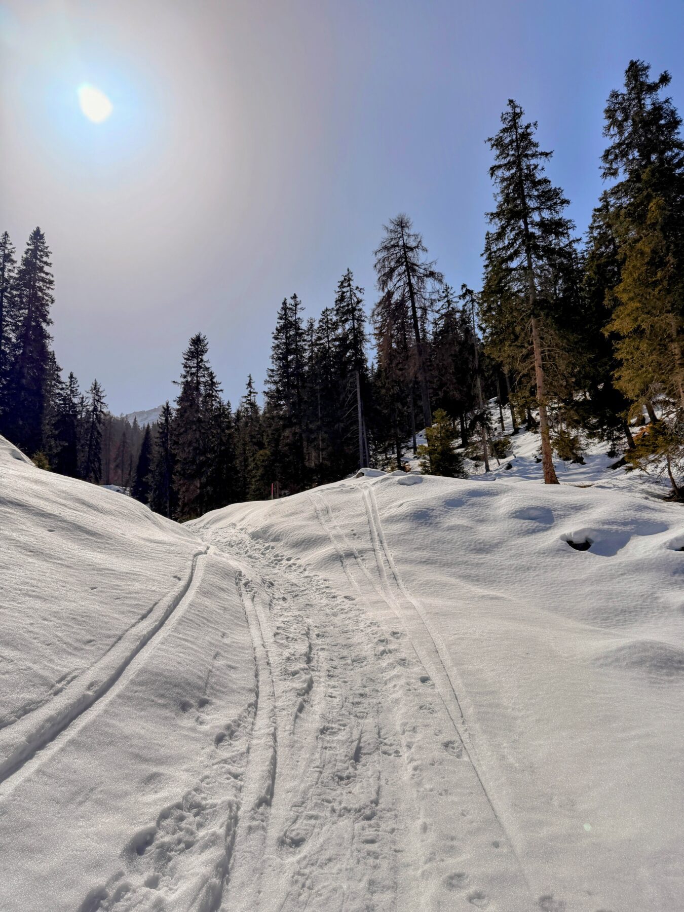 schneeschuhsafari_graubuenden_salouf_munter__IMG_0691