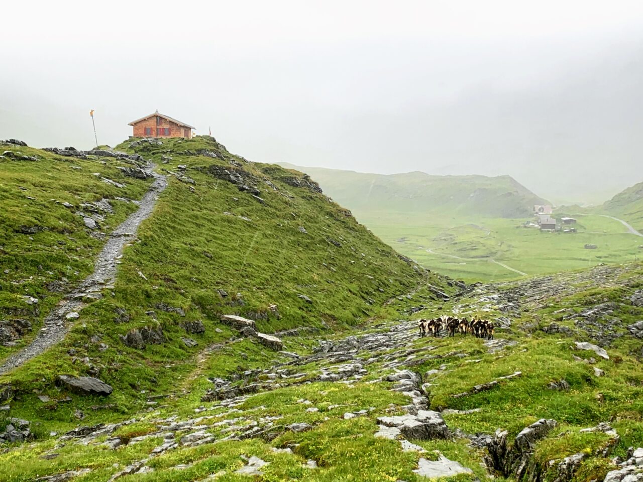 wanderung_glattalphuette