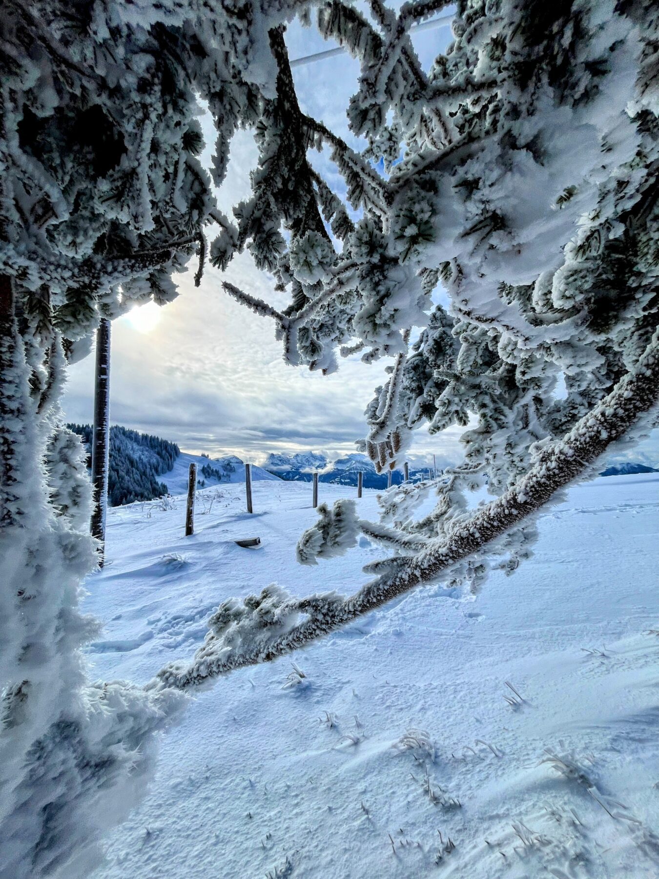 schneeschuhtour_biberegg_hochstuckli_haengebruecke__IMG_2154
