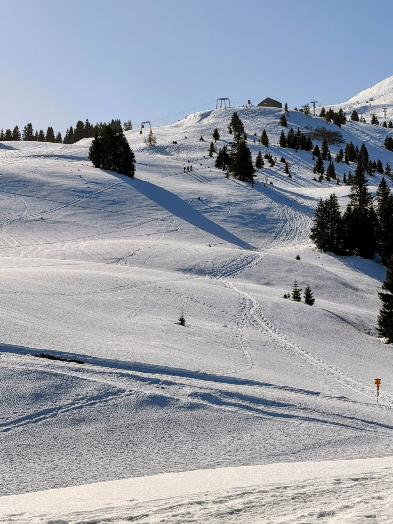 schneeschuhsafari_graubuenden_braembruesch_feldis__IMG_0512