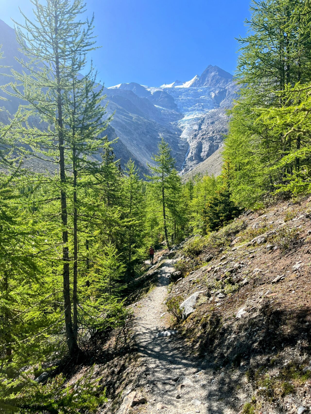 wanderung_bordierhütte_
