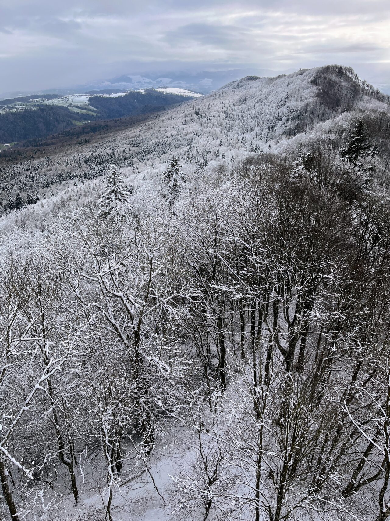 wanderung_albishorn_
