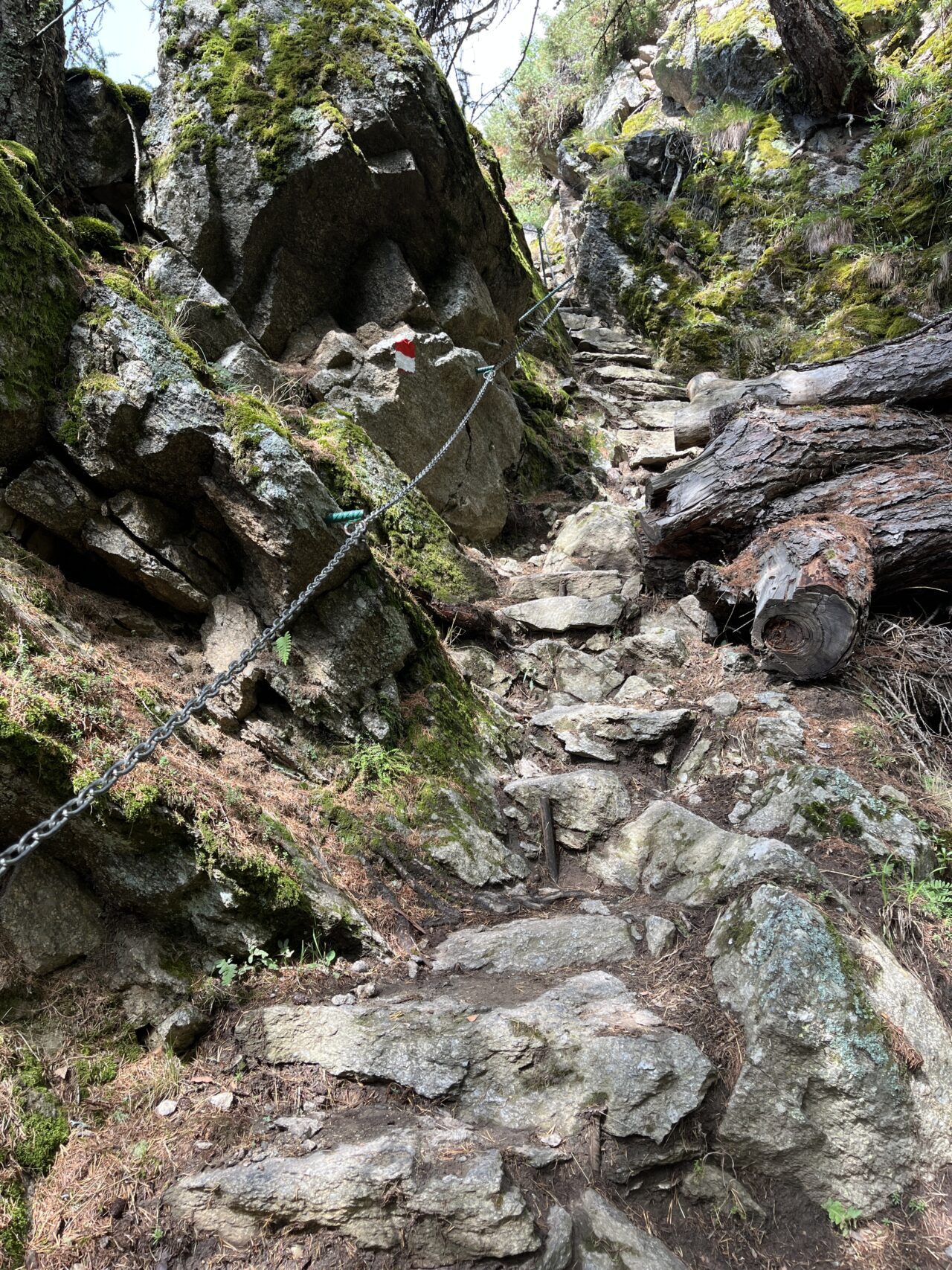 wanderung_Meraner_hoehenweg_hochmuth_nasereithuette_montferthof_