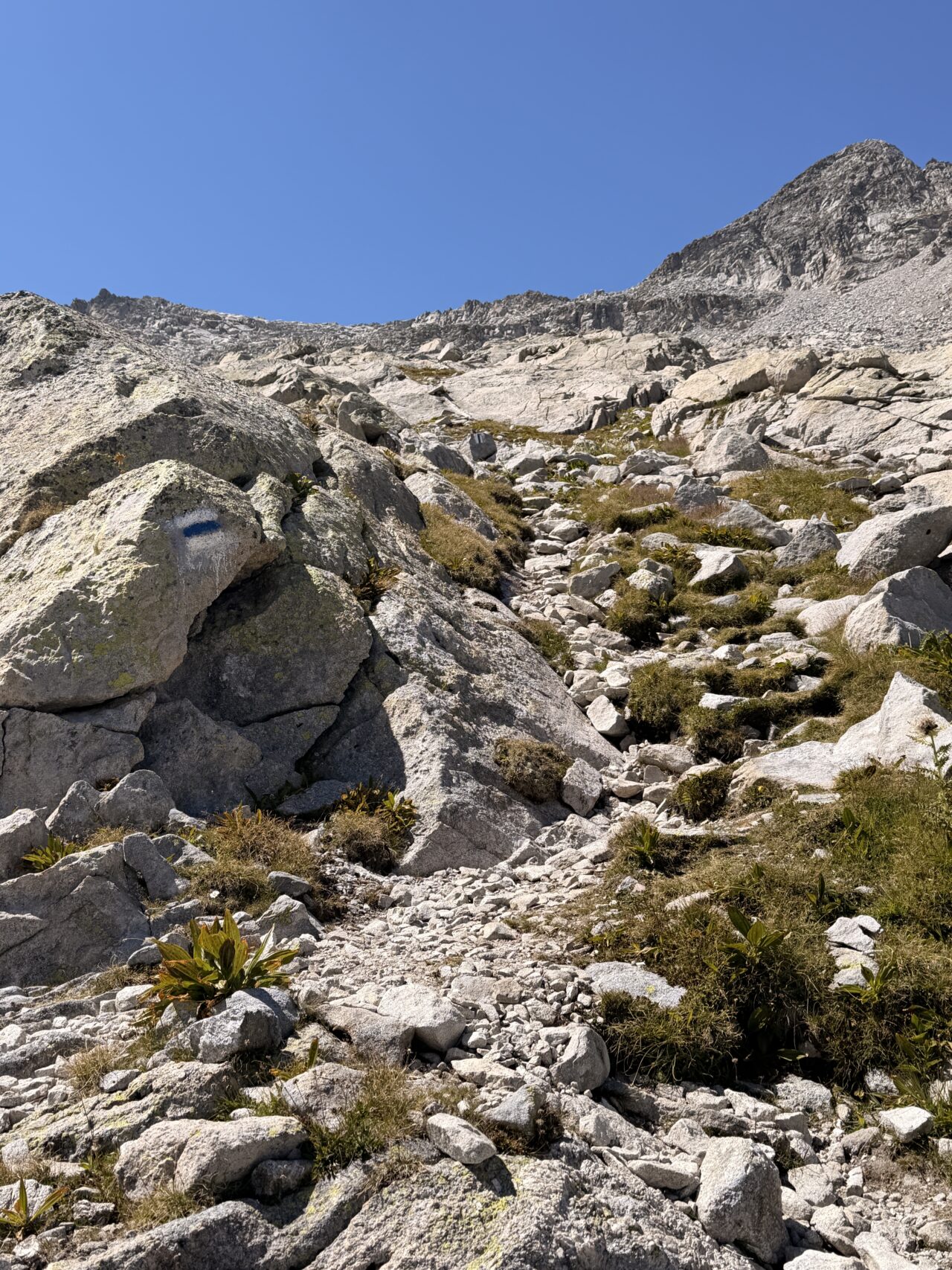wanderung_sentiero_alpino_bregaglia_albignahuette_sciorahuette__IMG_0363