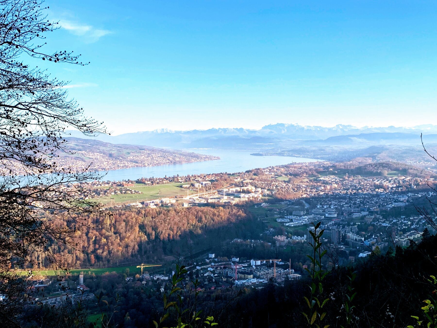 wanderung_Felsenegg_uetliberg_albisgrat_