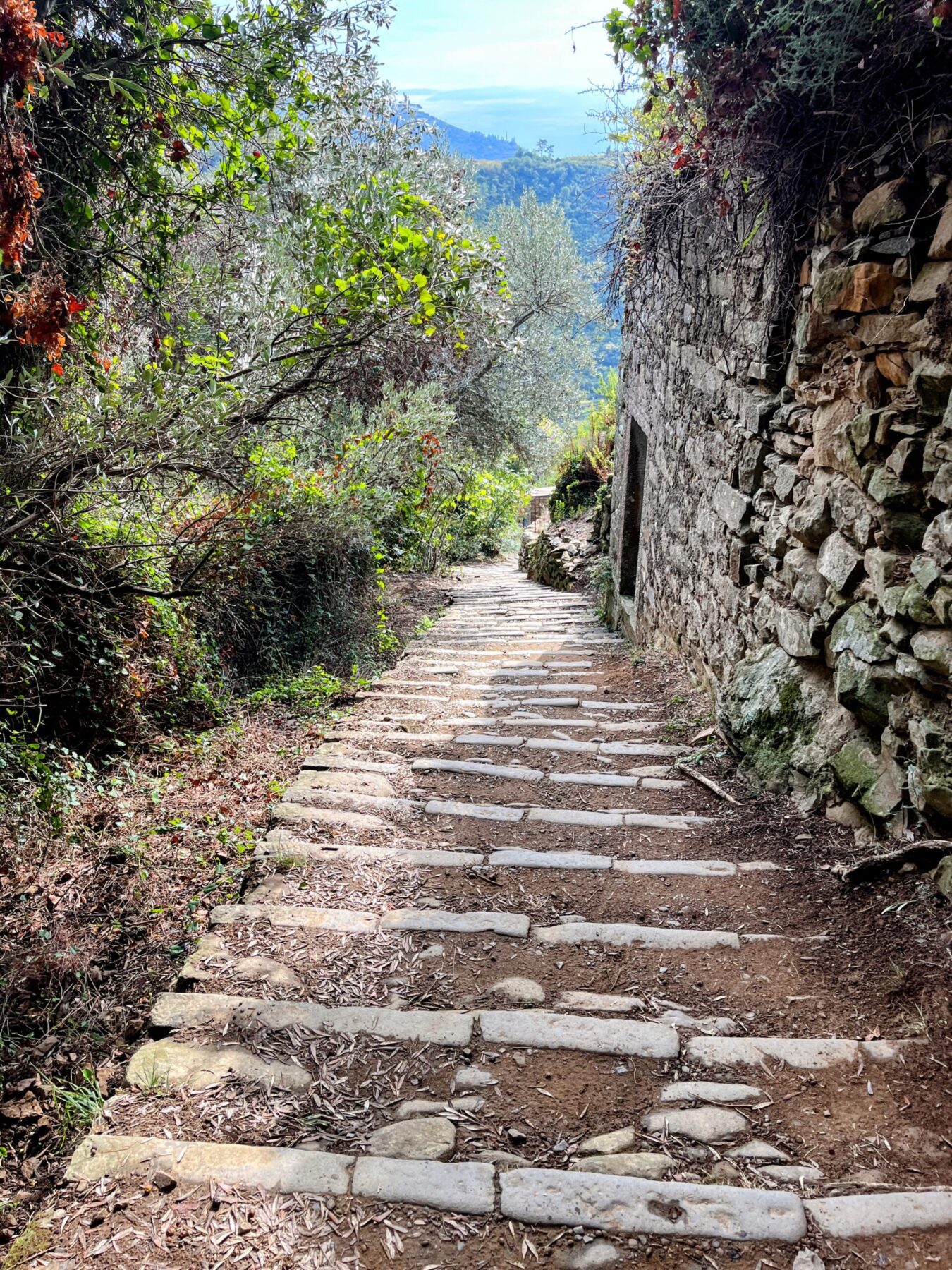 wandern_cinque_terre_