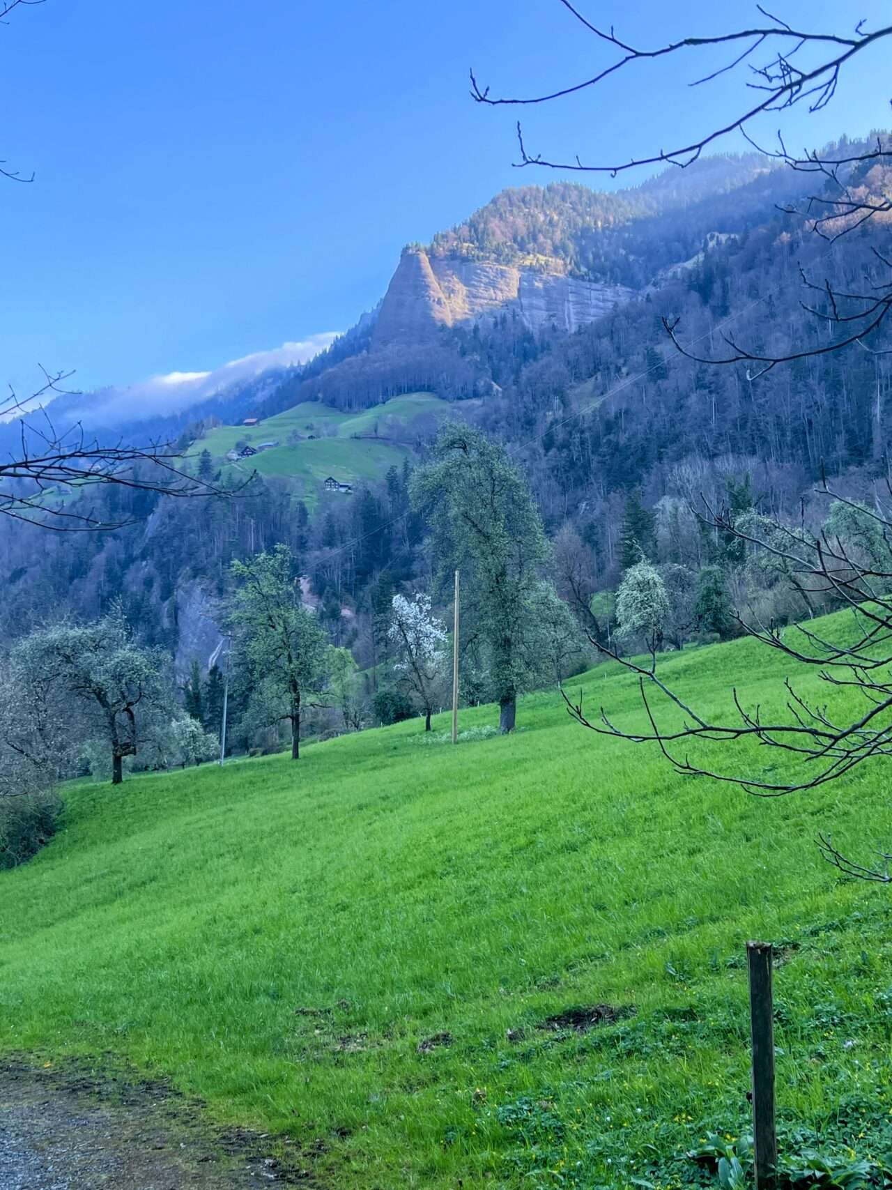 wanderung_vitznau_gersauerstock_vitznauerstock_
