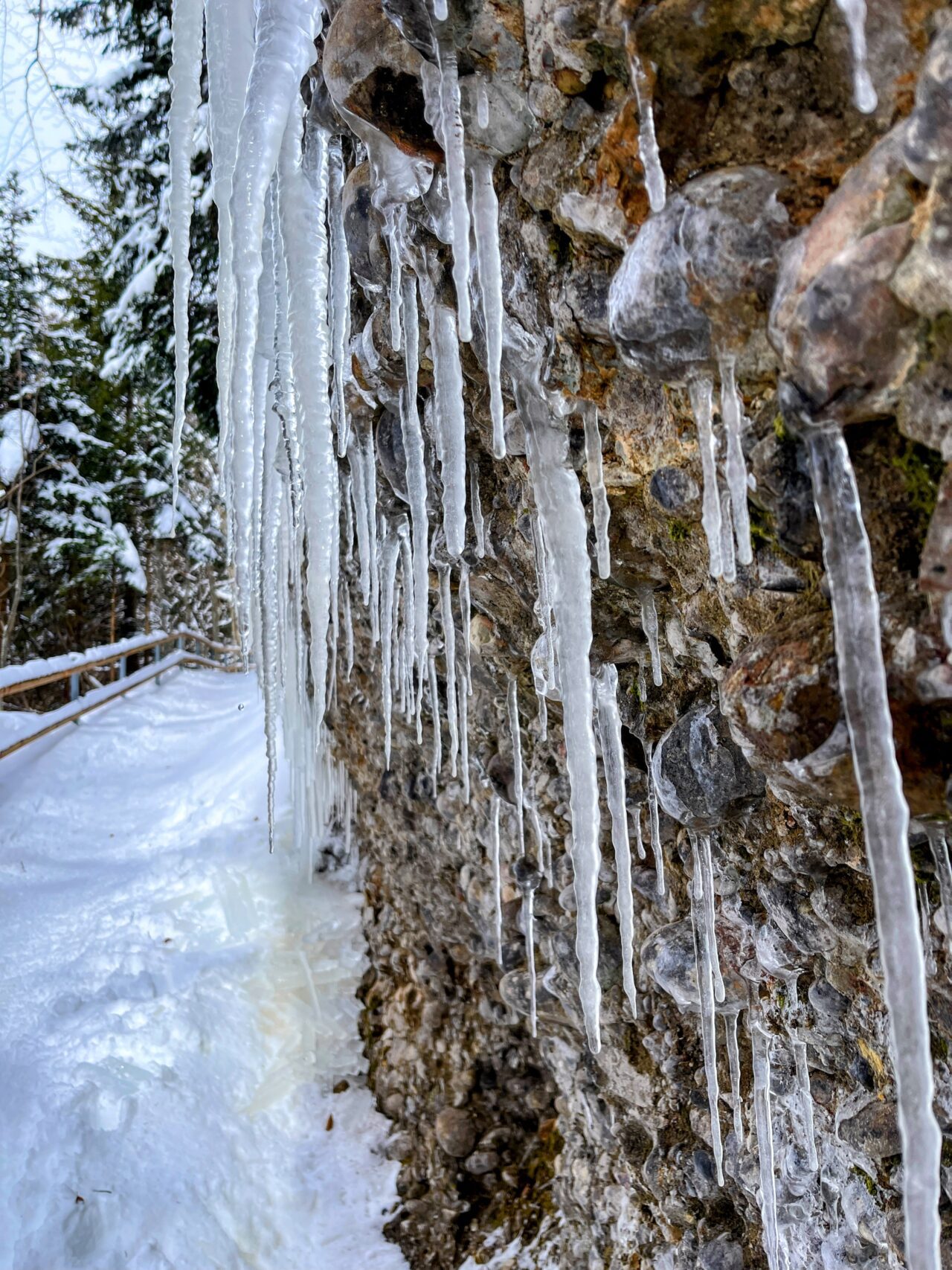 schneeschuhwanderung_atzmaennig_chruezegg_