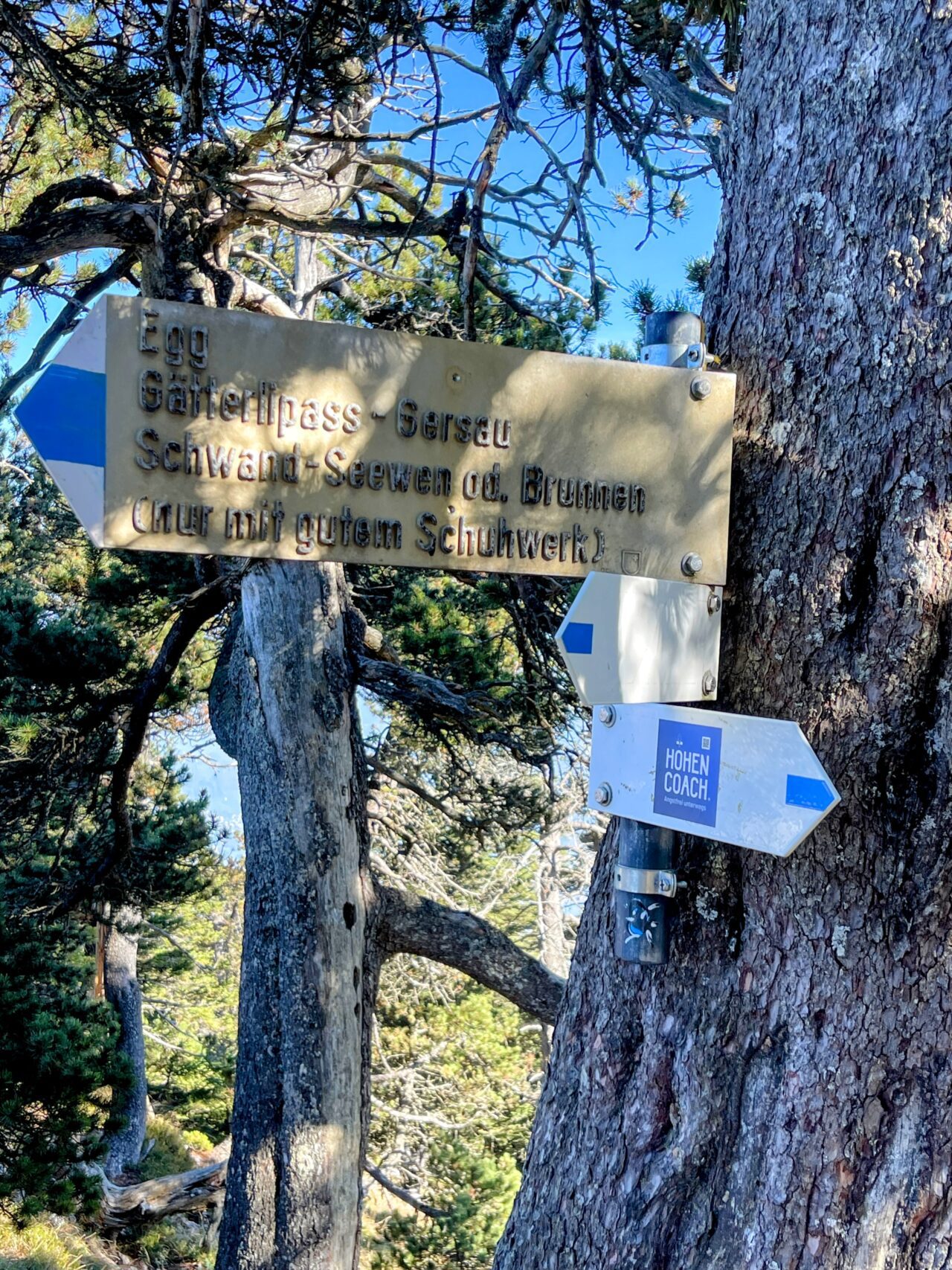 wanderung_rigi_hochflue_