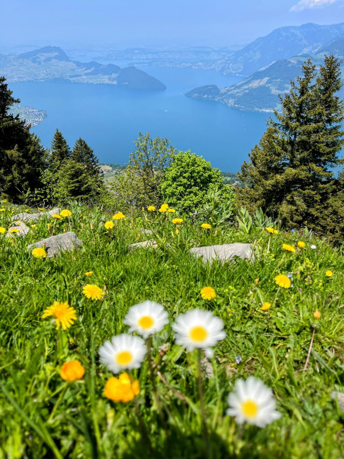 wanderung_niederbauen_chulm_