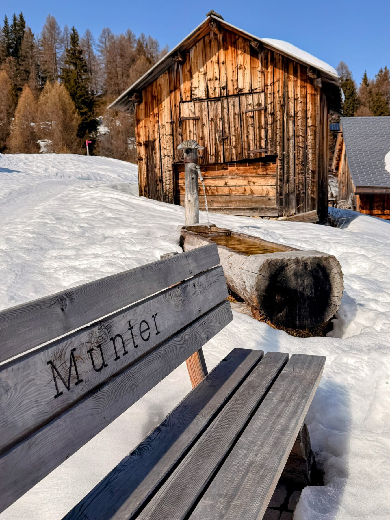 schneeschuhsafari_graubuenden_salouf_munter__IMG_0681