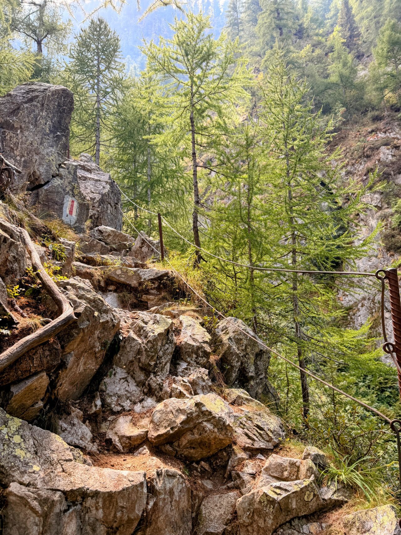 wanderung_sentiero_alpino_bregaglia_sciorahuette_sasc_furae_huette__IMG_0511