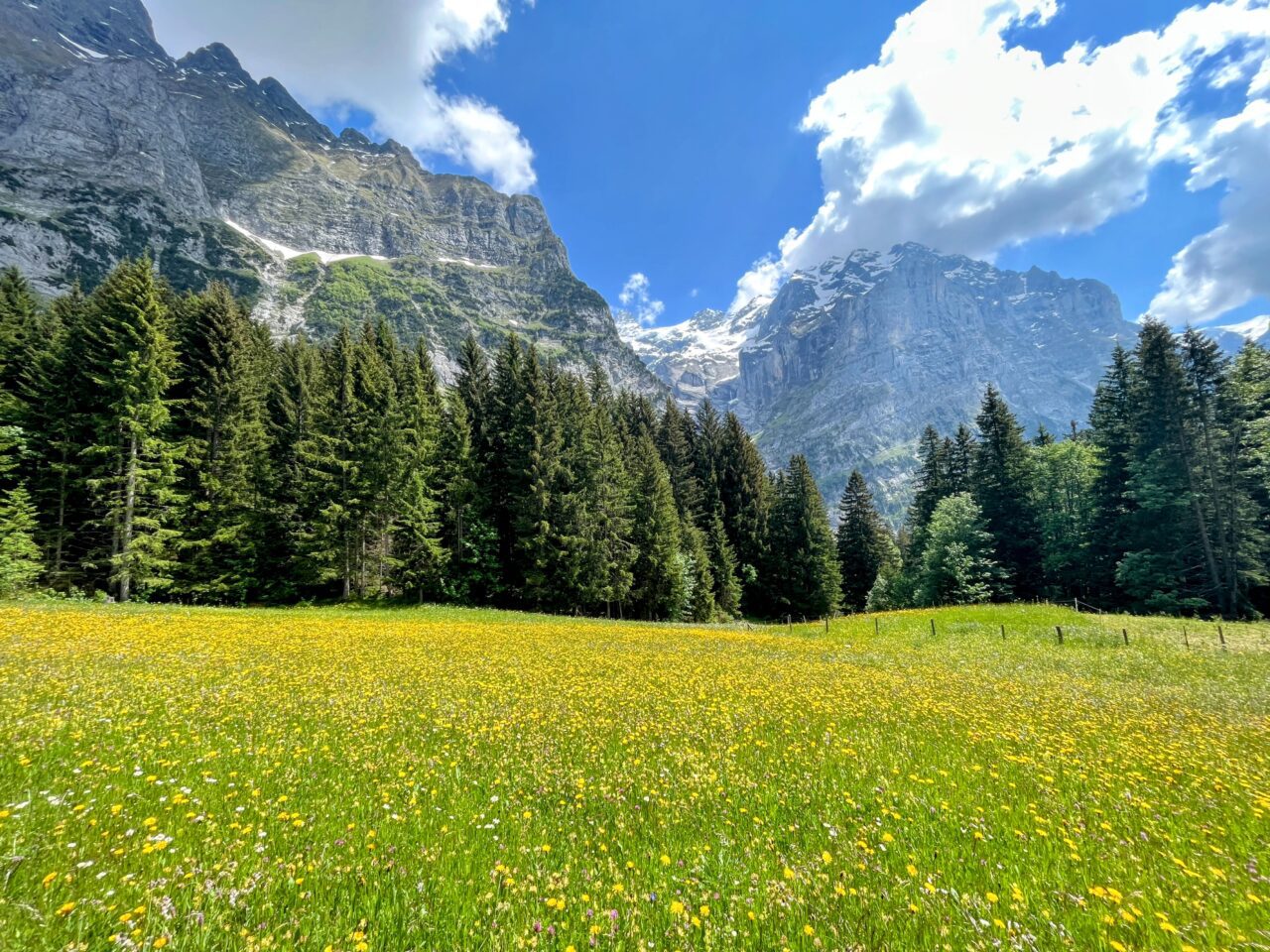 wanderung_via_alpina_meiringen_grindelwald_