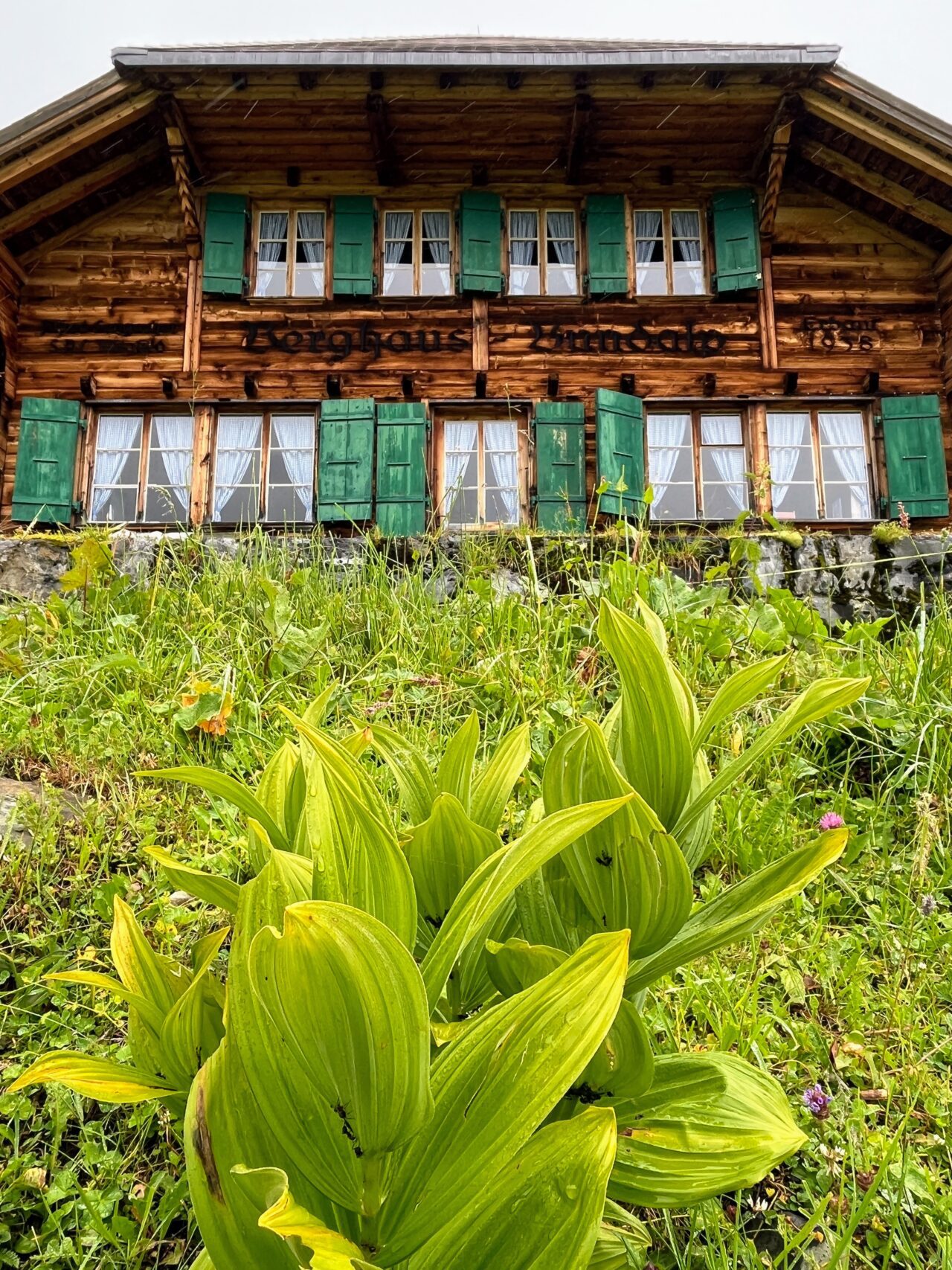 wanderung_via_alpina_griesalp_bluemlisalphuette_oeschinensee_kandersteg_
