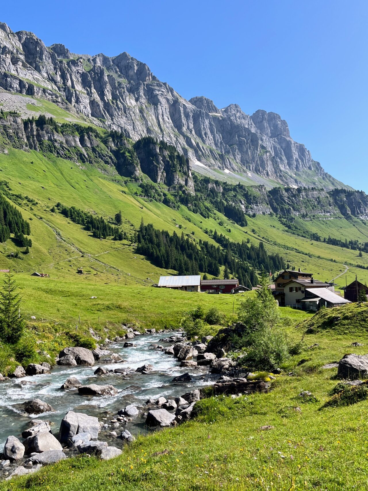 Wanderung_Via_alpina_urnerboden_linthal_