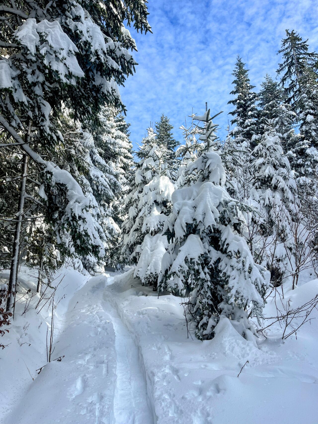 schneeschuhwanderung_rothenthurm-nüsselstock-brunni__IMG_5558
