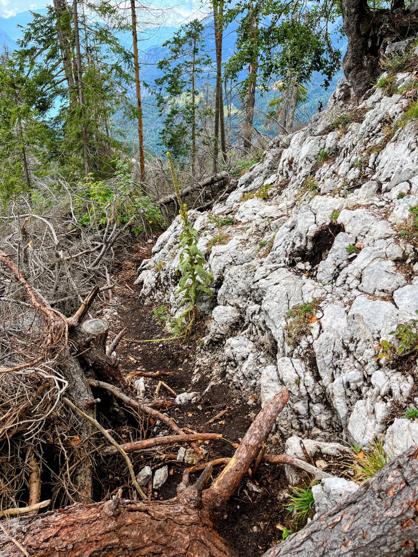 wanderung-croz-dell-altissimo-