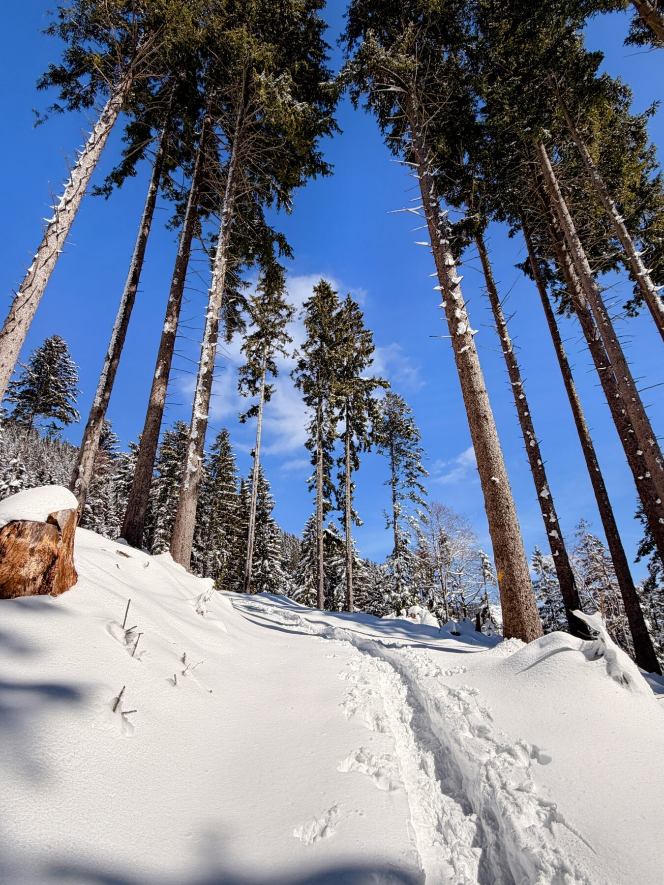 schneeschuhtour_lehmen_kronberg_chammhaldenhuette_schwaegalp__IMG_1330