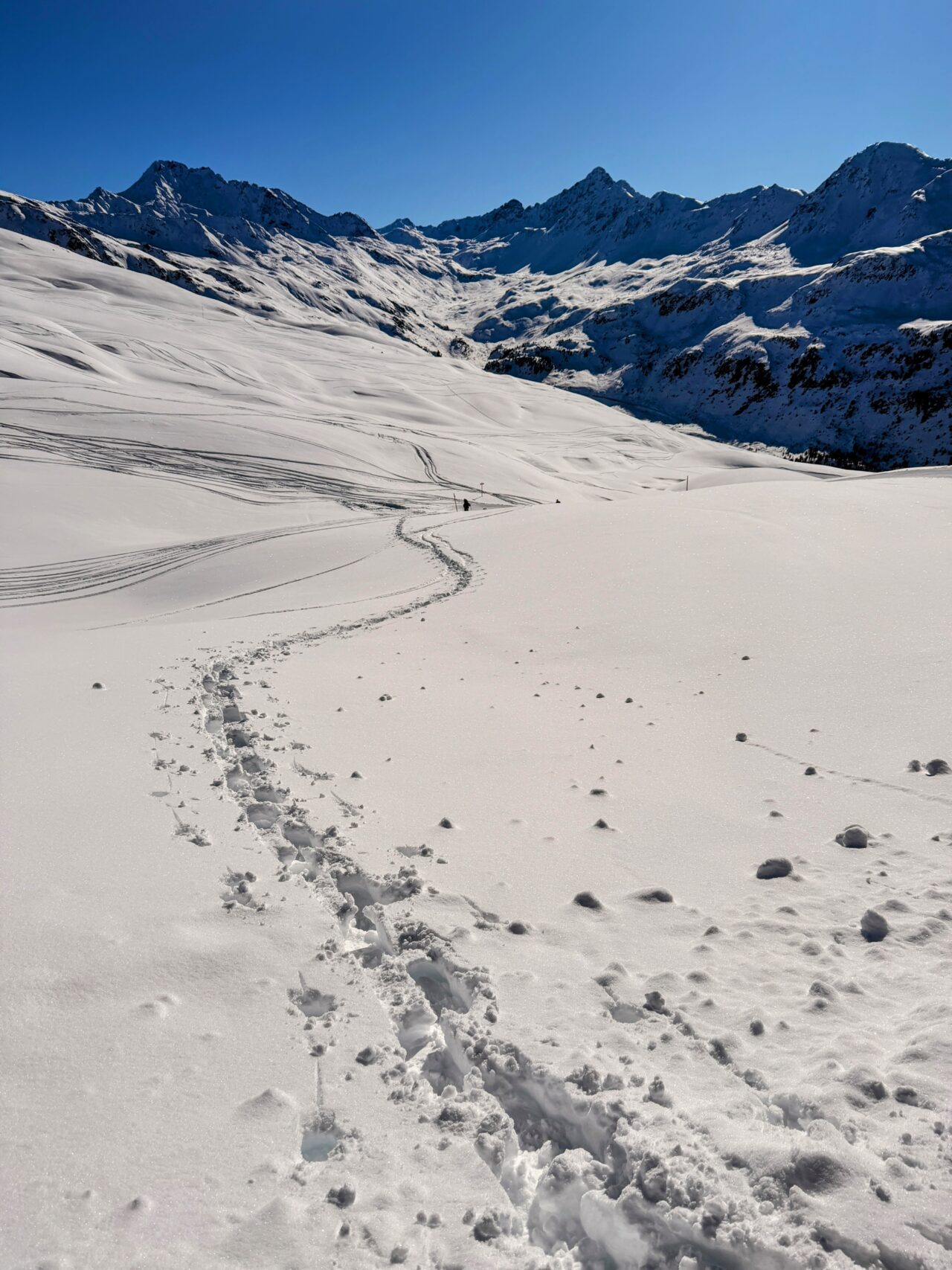 schneeschuhtour_pischa__IMG_9485