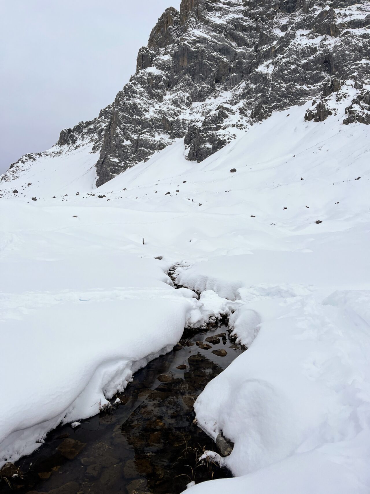 schneeschuhwandern-carschinahuette-_IMG_8070
