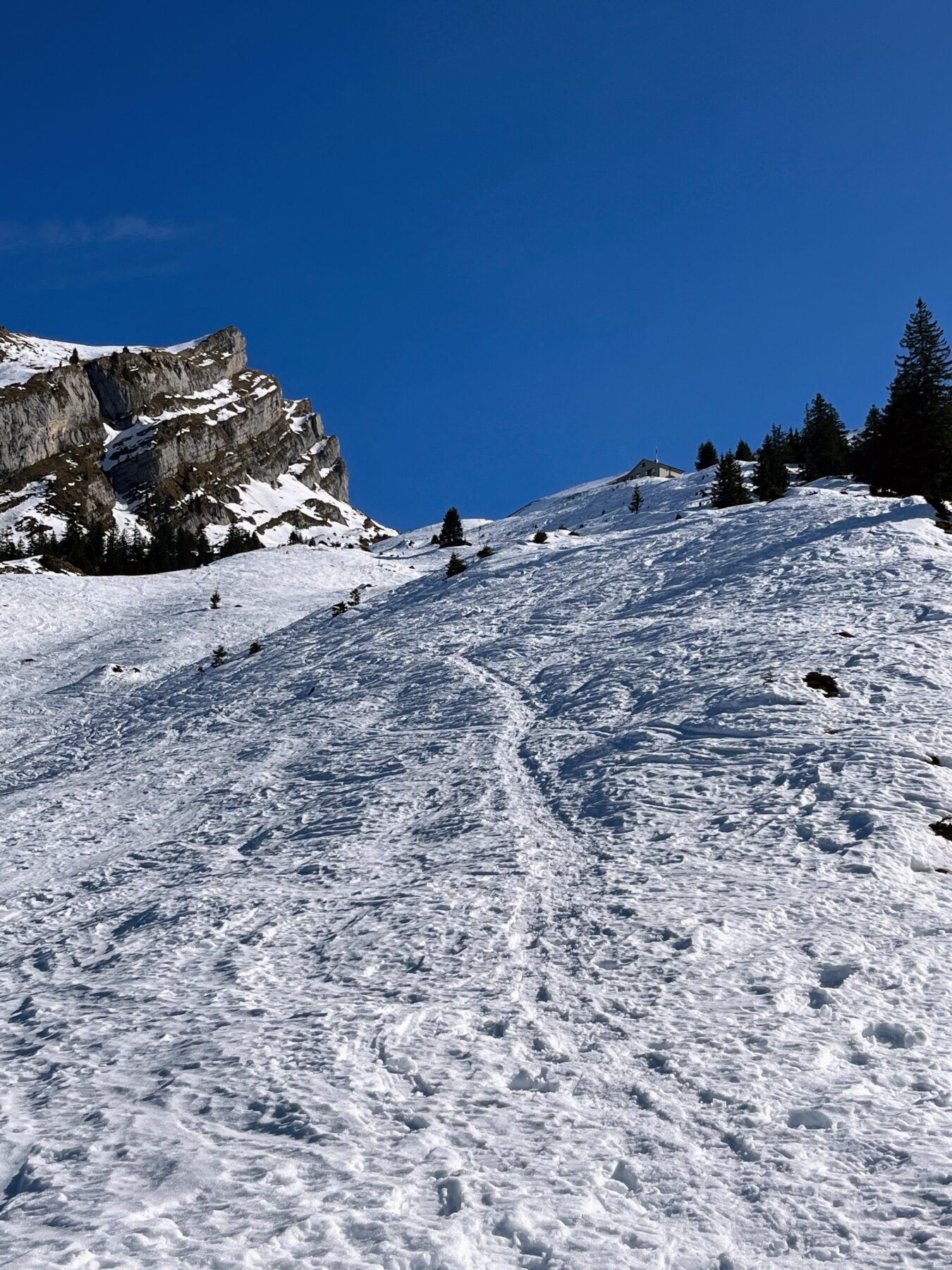 schneeschuhwanderung-brisenhaus-_IMG_0214