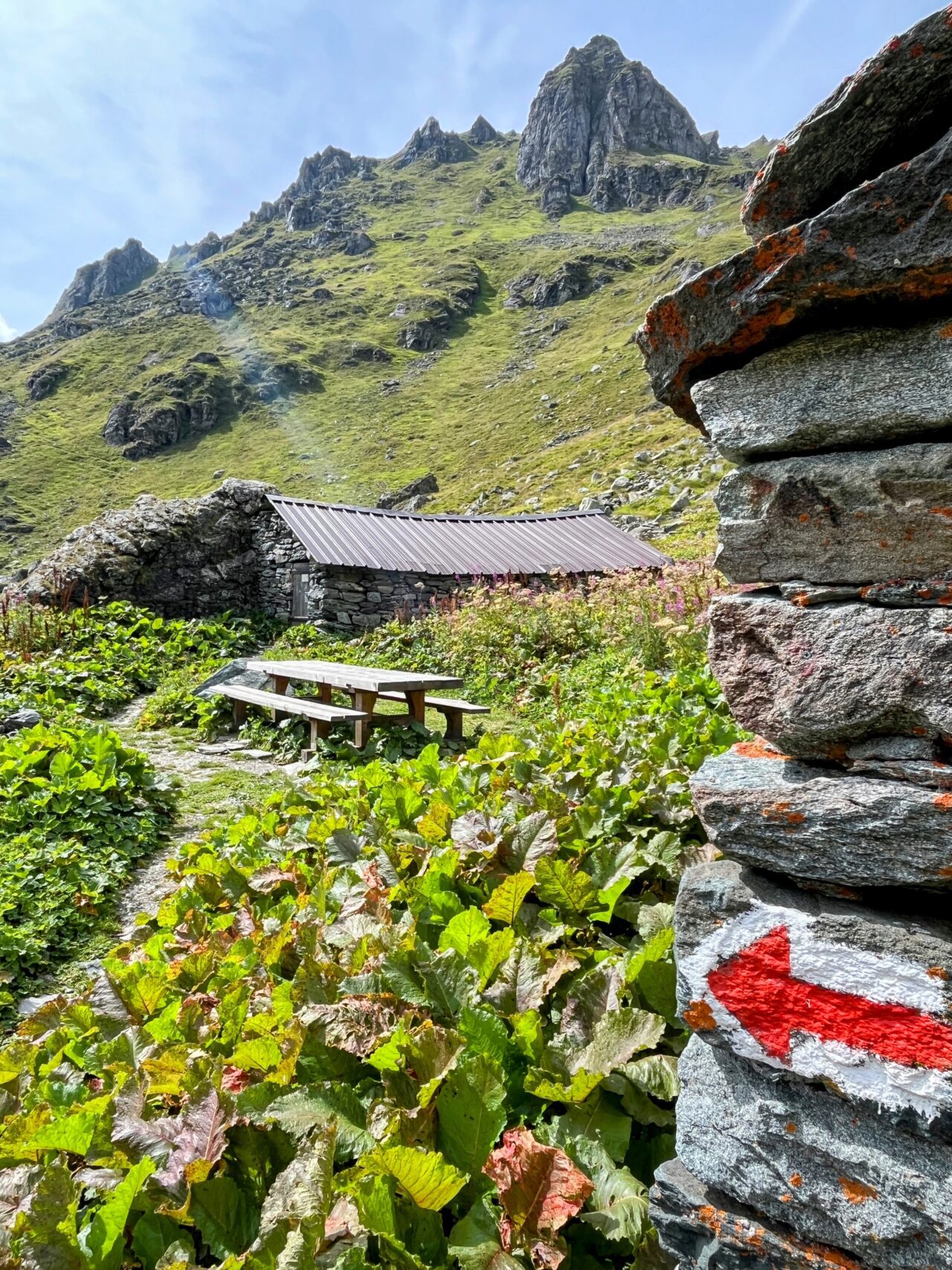 wanderung_alpenpaesseweg_etappe_29_cabane_de_prafleuri_cabane_de_louvie_
