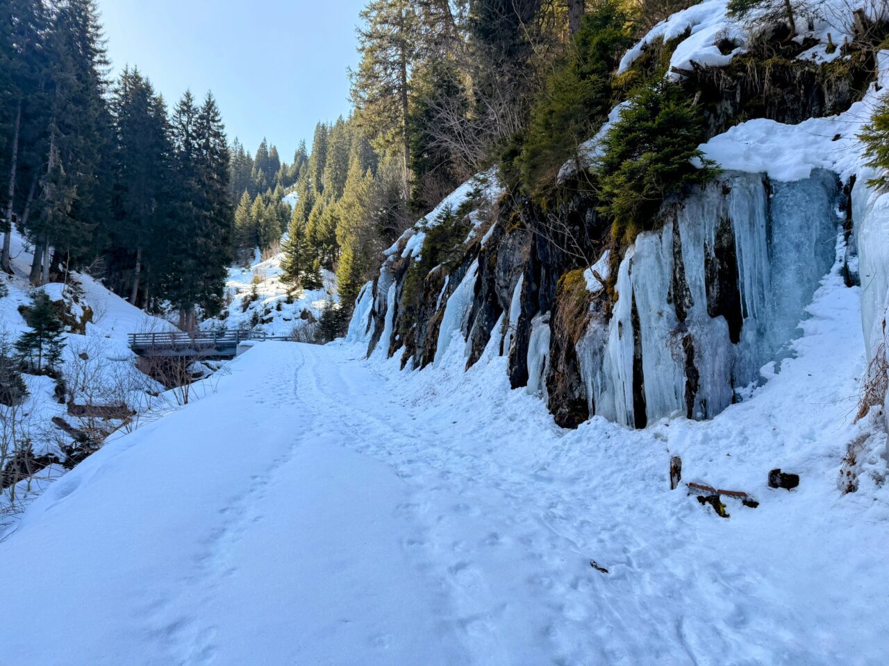 schneeschuhsafari-graubuenden-sedrun-disentis-_IMG_0266
