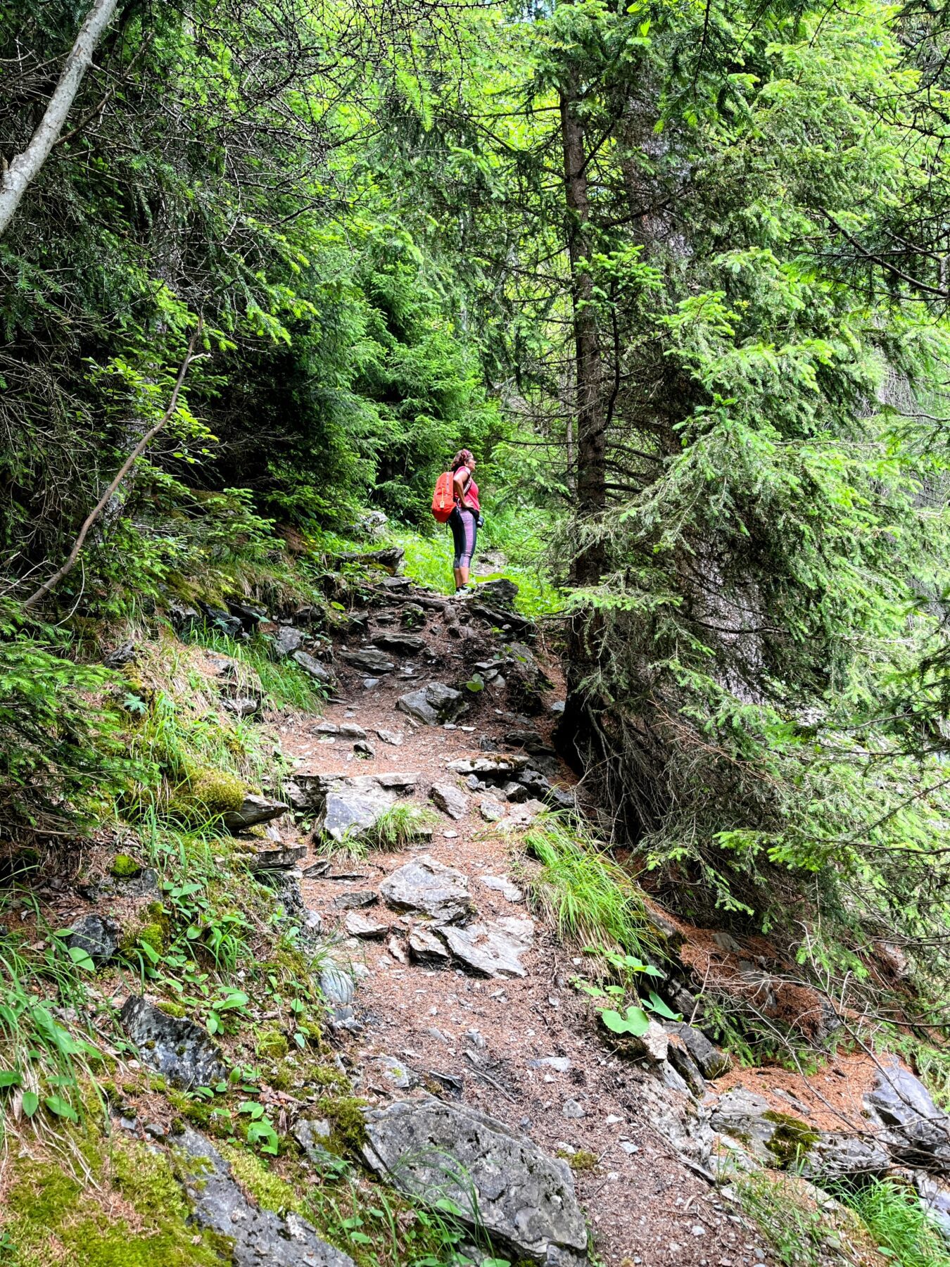 wanderung_cufercalhütte_