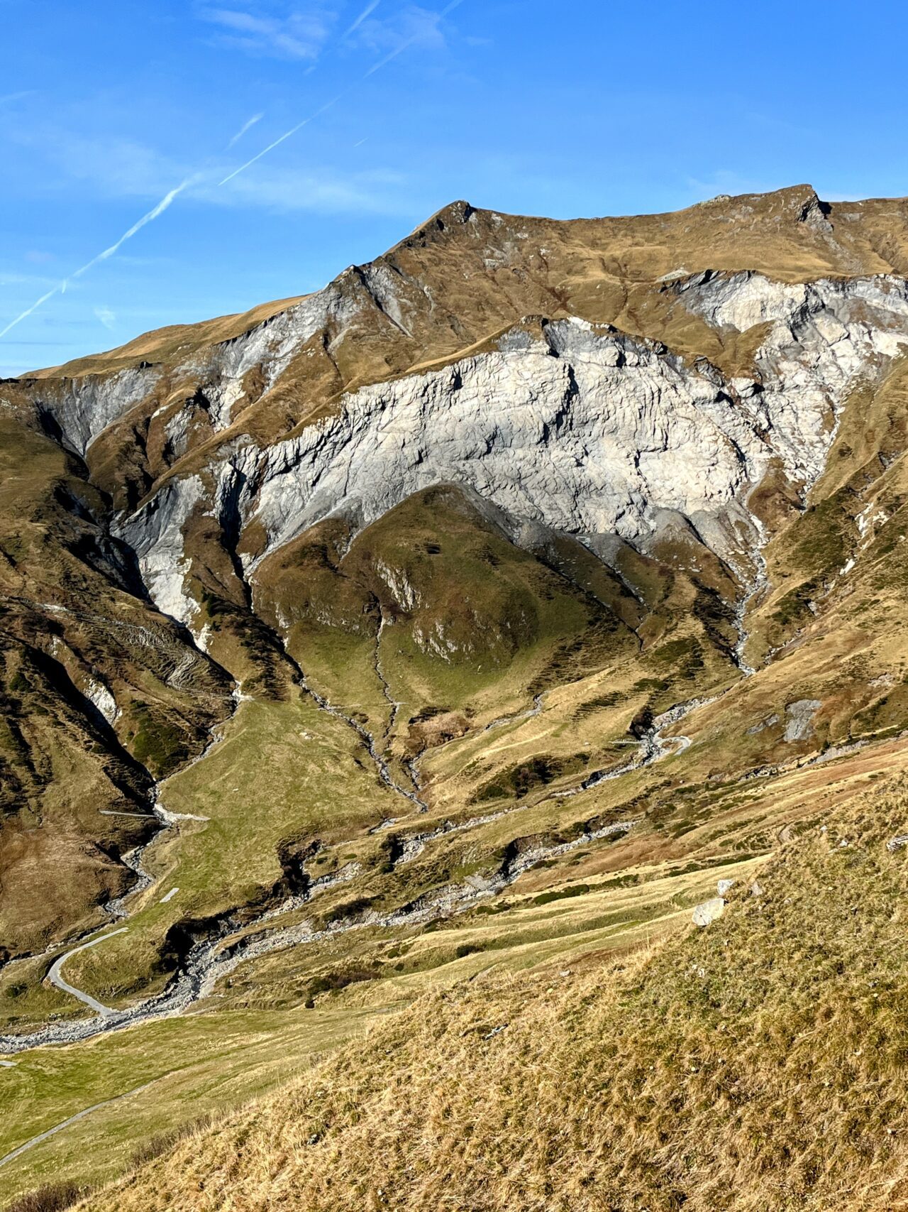 via_alpina_etappe_3_weisstannen_elm_