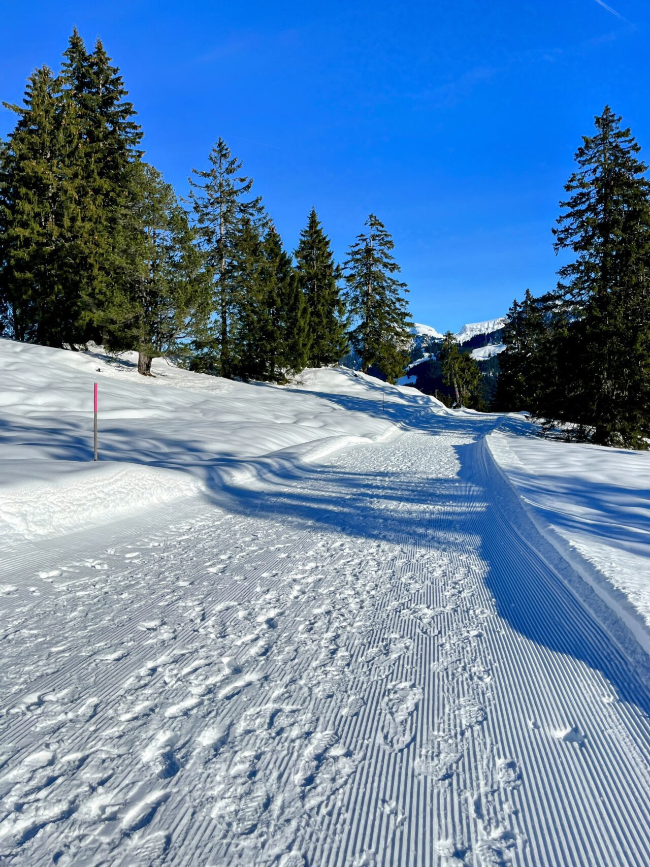 schneeschuhwanderung_oberiberg_furggelenstock__IMG_2804