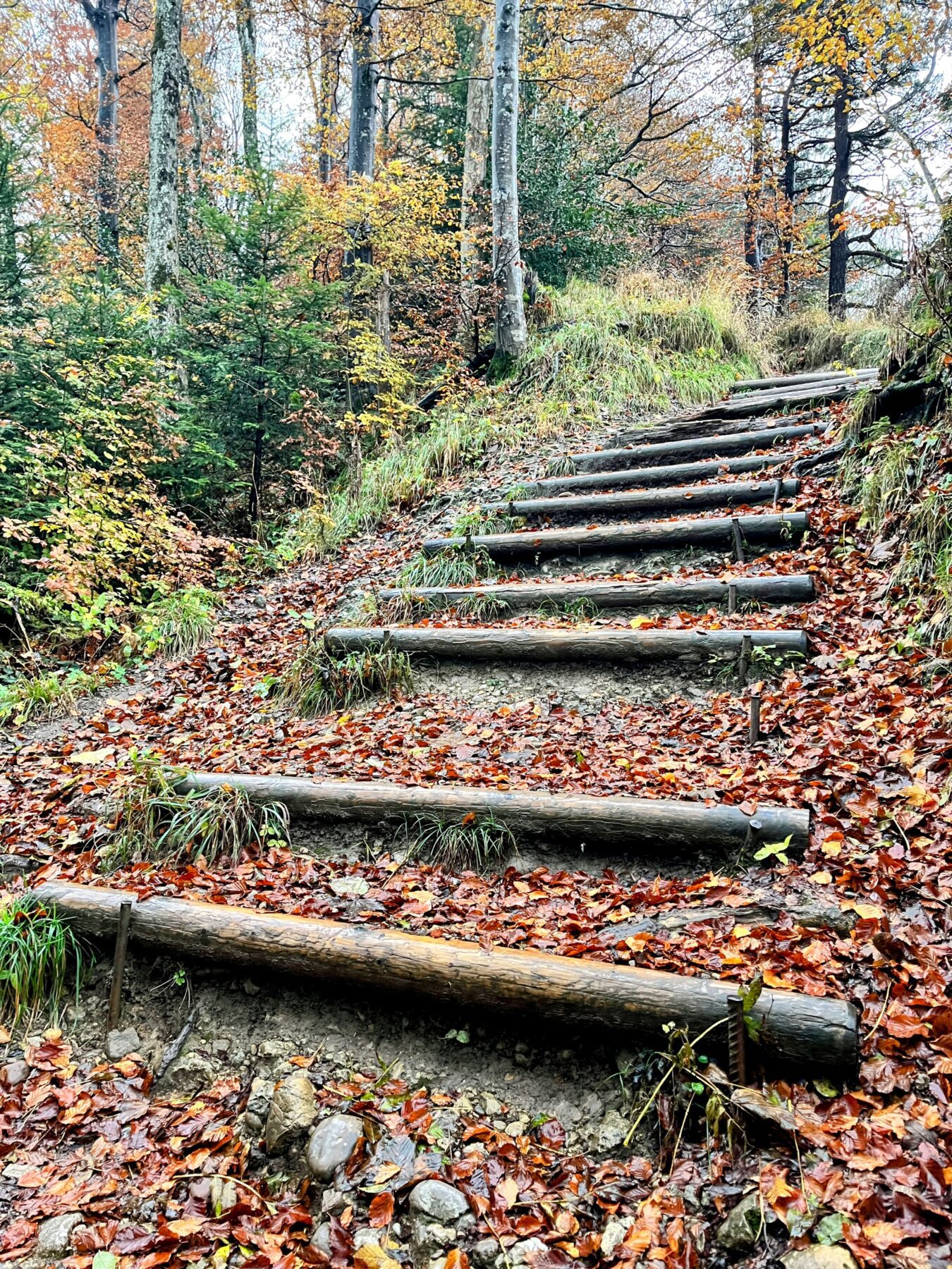 wanderung_hörnli_