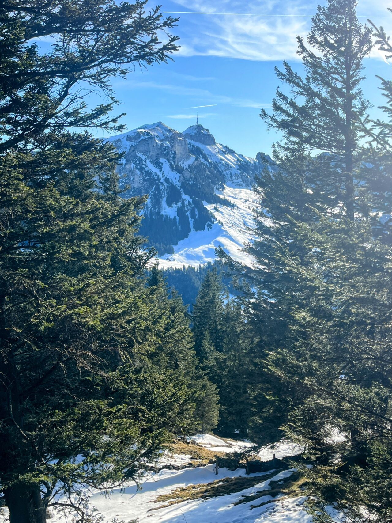 winterwanderung_fähnerenspitz__IMG_6544