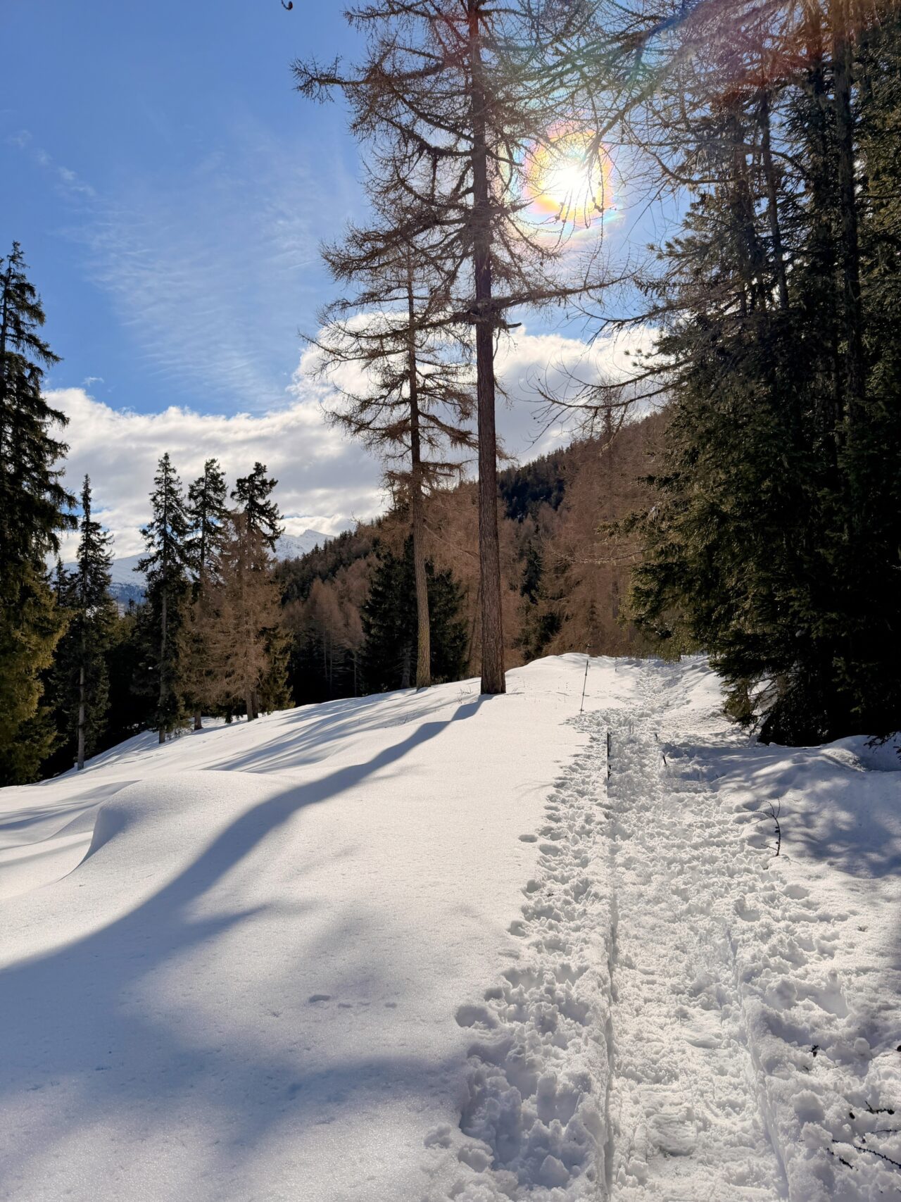 schneeschuhwanderung_buerchen_stand__IMG_9865