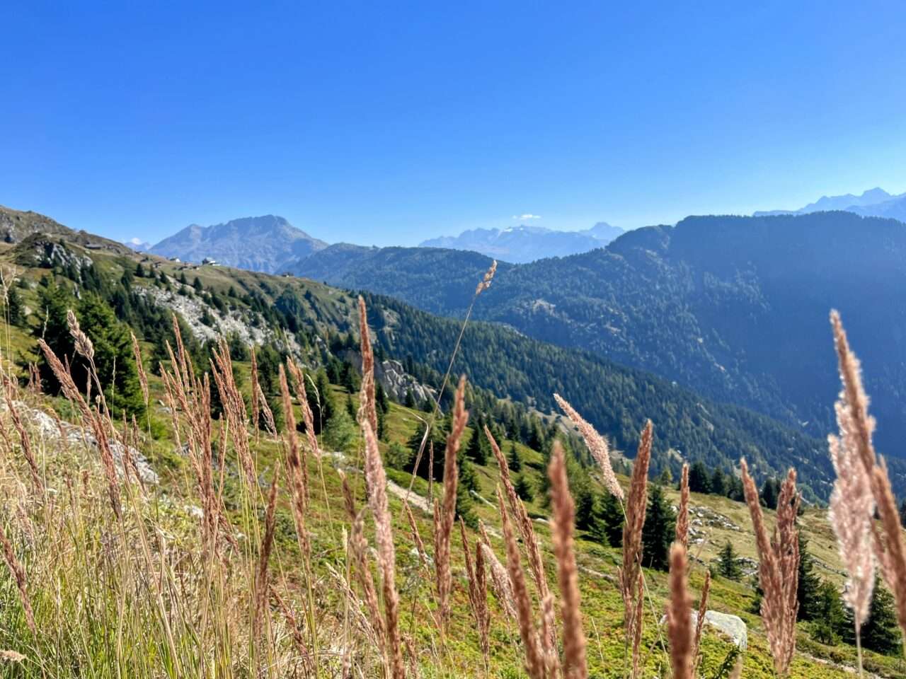 wanderung_oberaletschhuette_