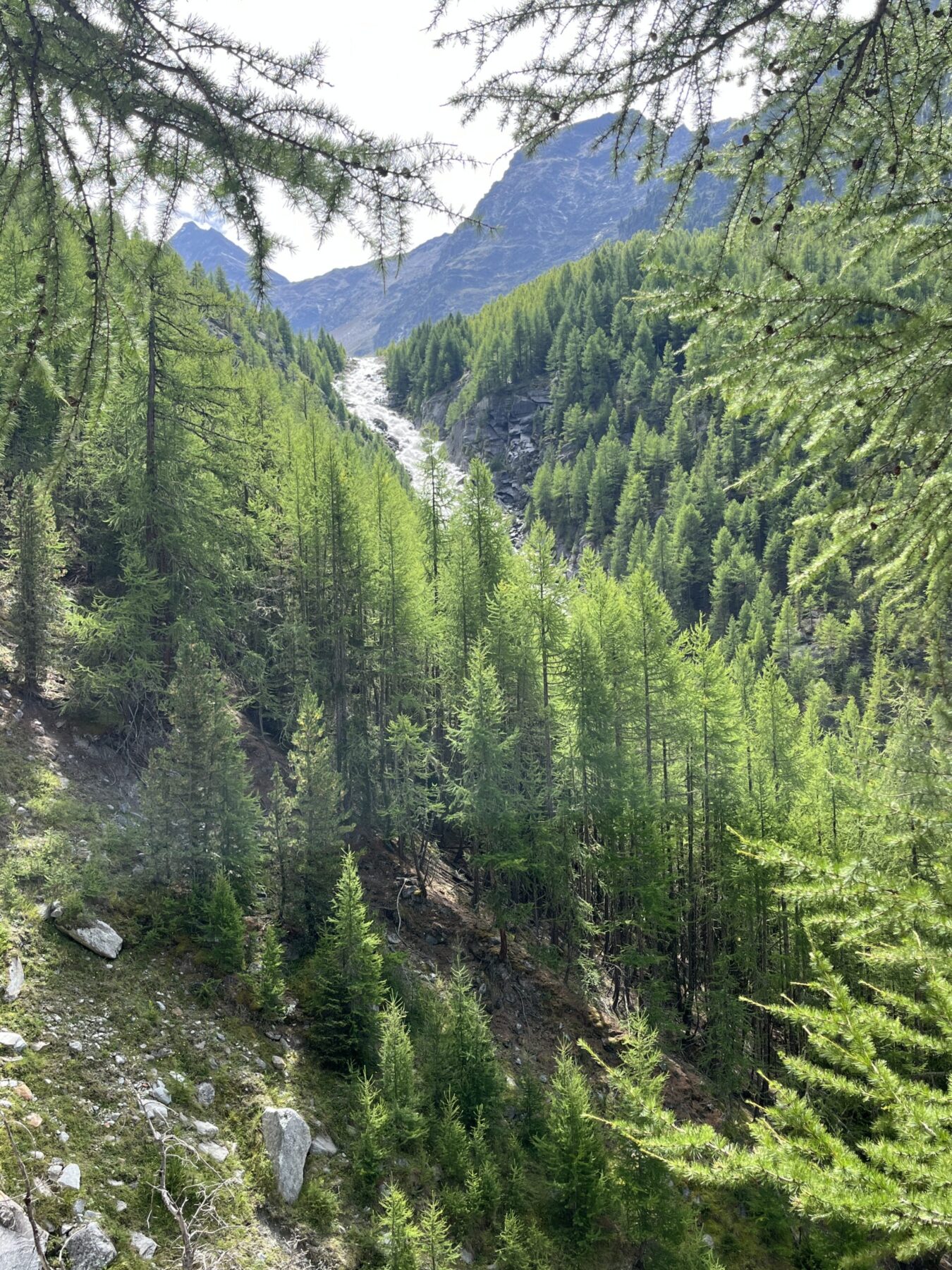 wanderung_bordierhütte_